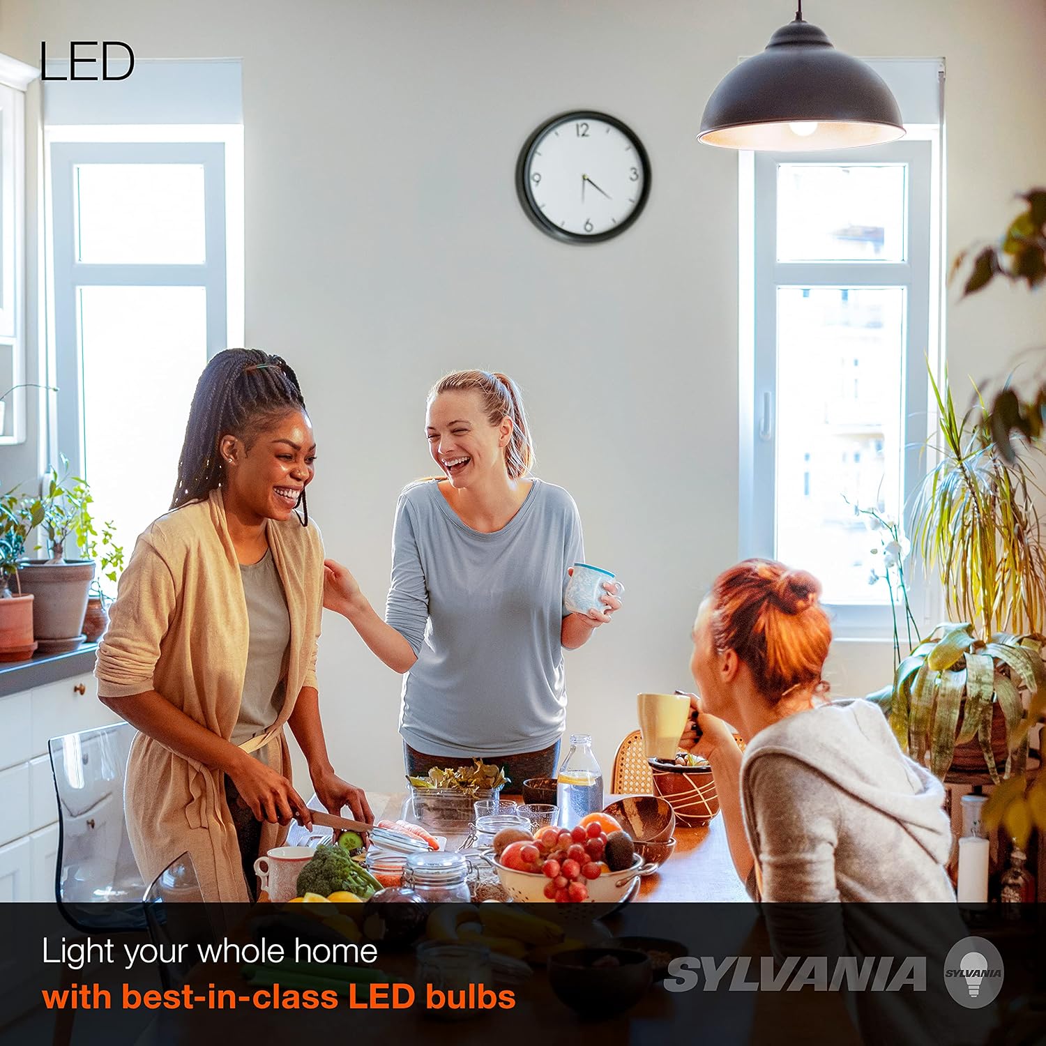 Sylvania LED A19 Light Bulb, 100W = 14W, Non-Dimmable, Frosted Finish, 1500 Lumens, 2700K, Soft White - 4 Pack (78101)