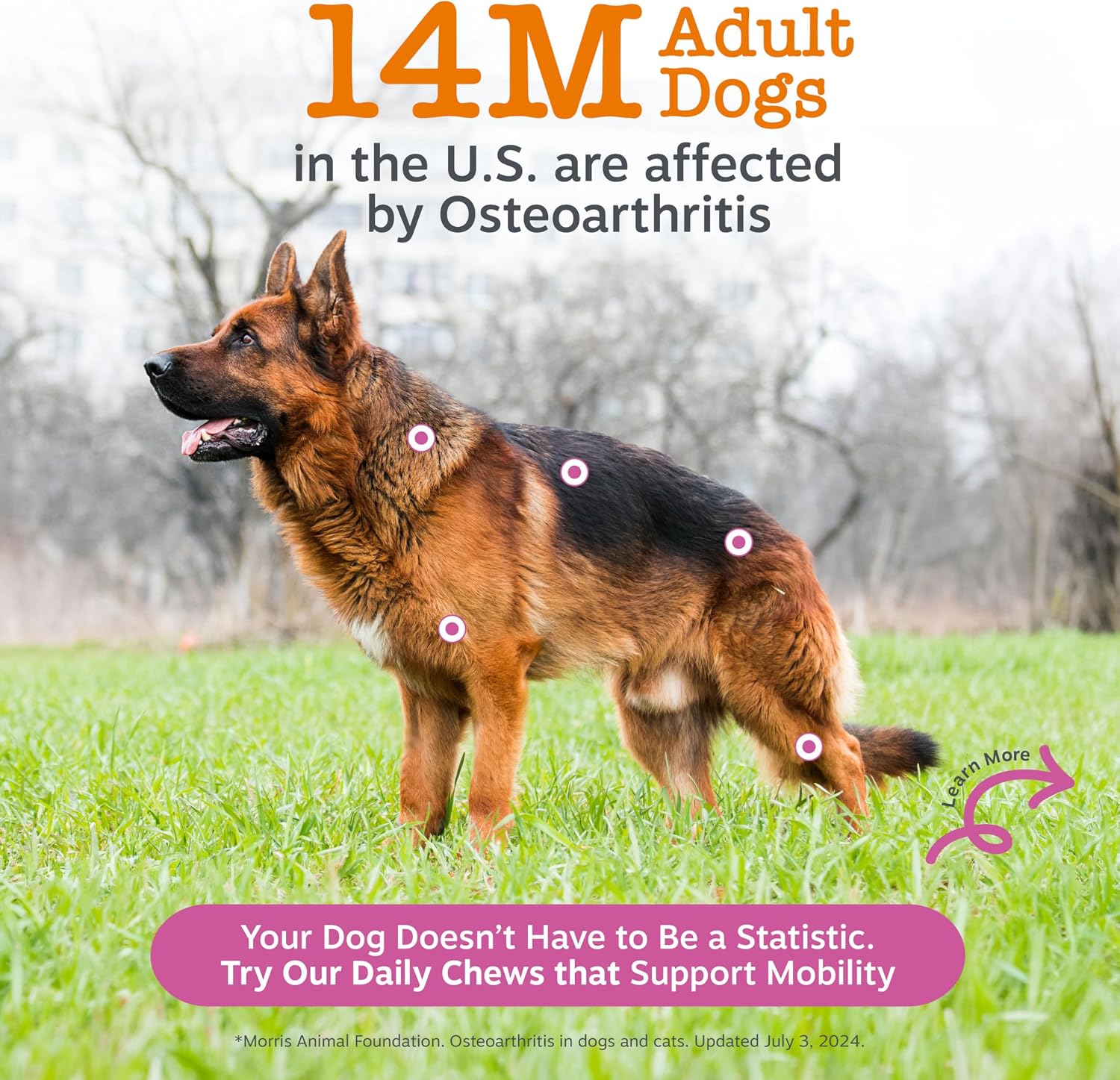 Zesty Paws Hip and Joint Supplement for Dogs - Glucosamine with Chondroitin, MSM, Vitamins C and E Dog Joint Relief - Mobility Bites Duck – 90 Count