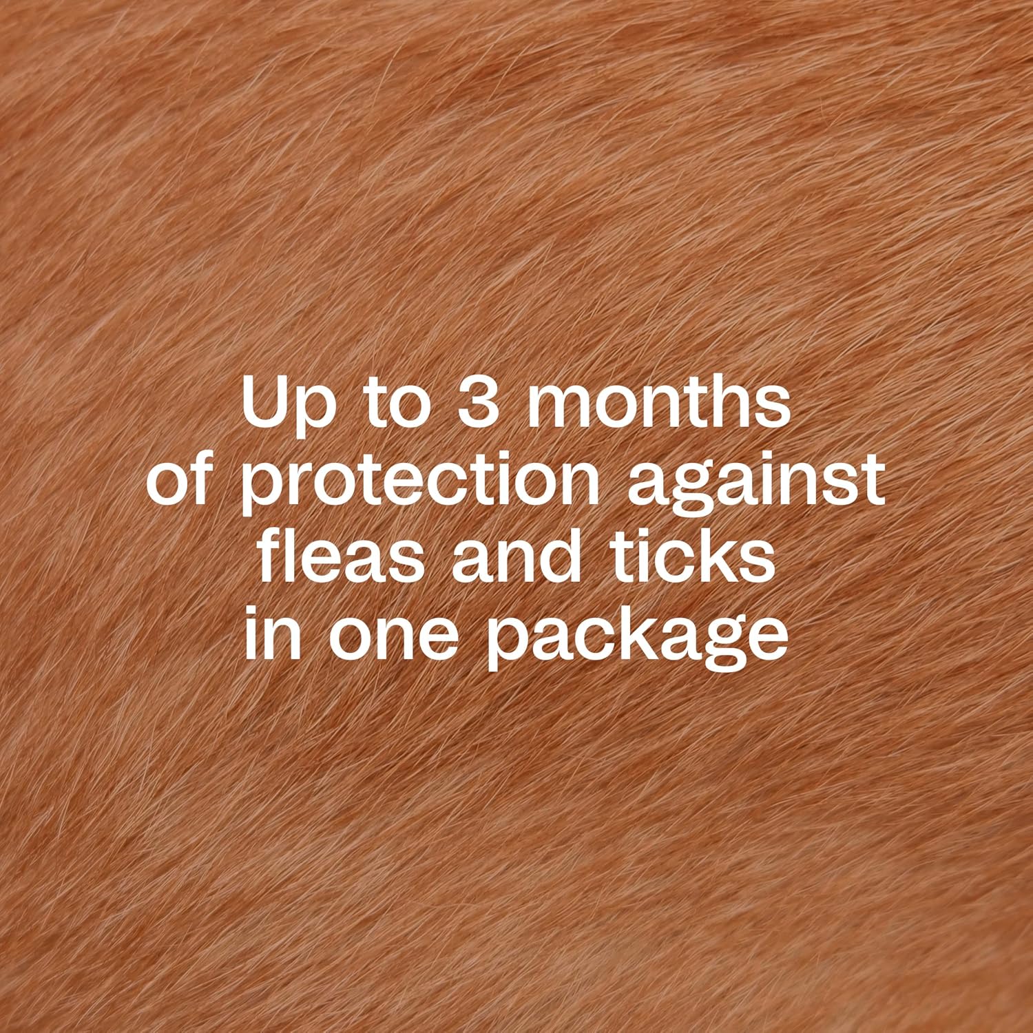 ADAMS Plus Flea & Tick Prevention Spot On for Extra Large Dogs, 3 Pack