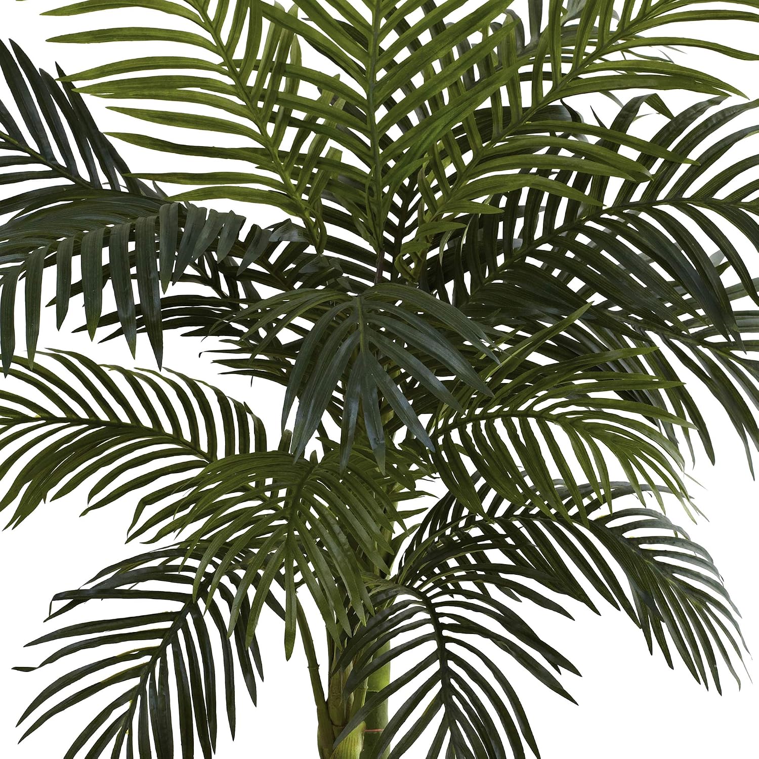 Nearly Natural 4 ft Artificial Golden Cane Palm Tree with Nursery Pot | Double-Stalk, Lush Realistic Foliage, Indoor Faux Palm Plant, Living Room Decor, Perfect Tropical Decoration