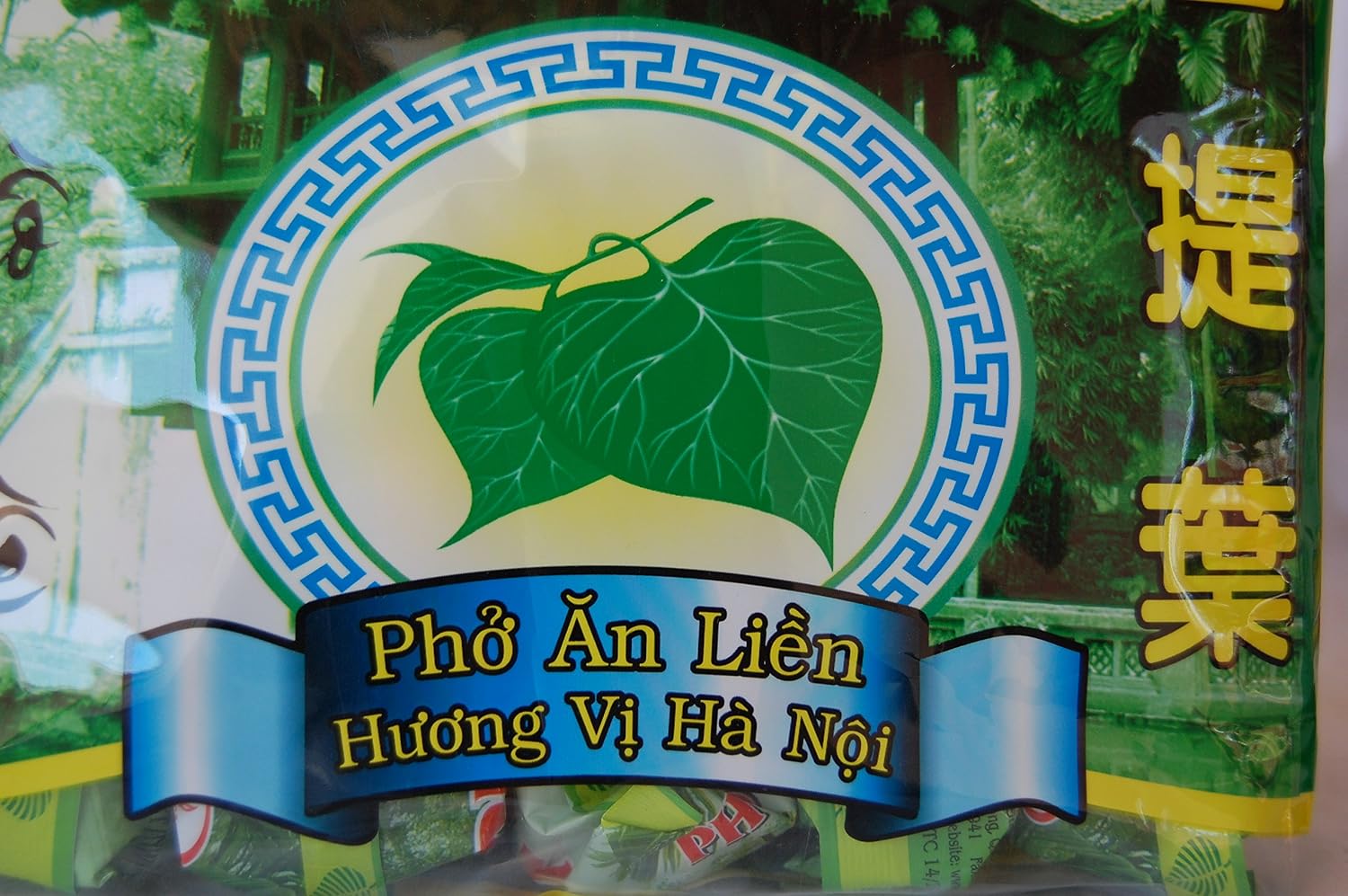Binh Tay Pho Chay Vegetarian Instant Rice Noodles 14oz (Pack of 10)
