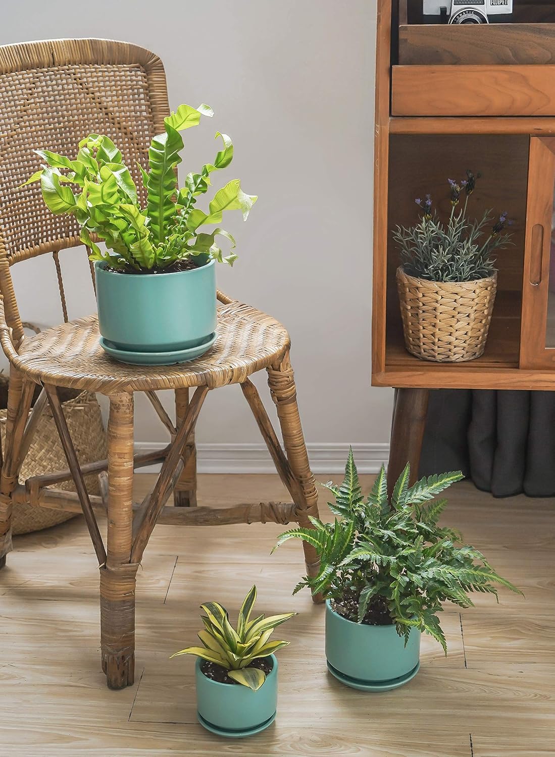 LE TAUCI Ceramic Plant Pots, 4.3+5.3+6.8 inch, Set of 3, Planters with Drainage Hole and Saucer, Indoor Flower Pot with Hole Mesh Pad, Gifts for Mom