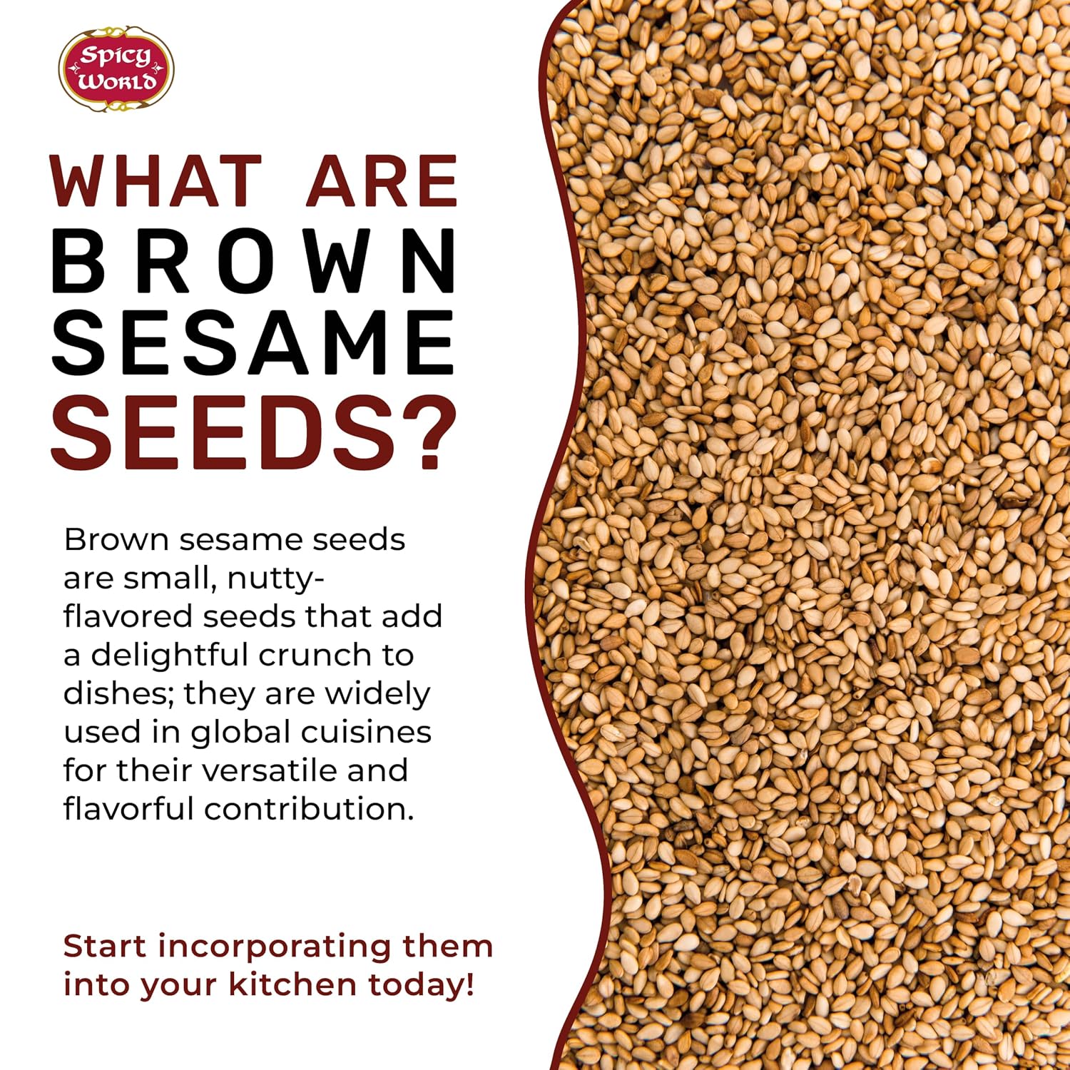 Spicy World Natural Brown Sesame Seeds 3 LB (48oz) - Non-GMO, Vegan, Raw, Unroasted, Unsalted, Plant-Based Protein, Source of Fiber & Iron