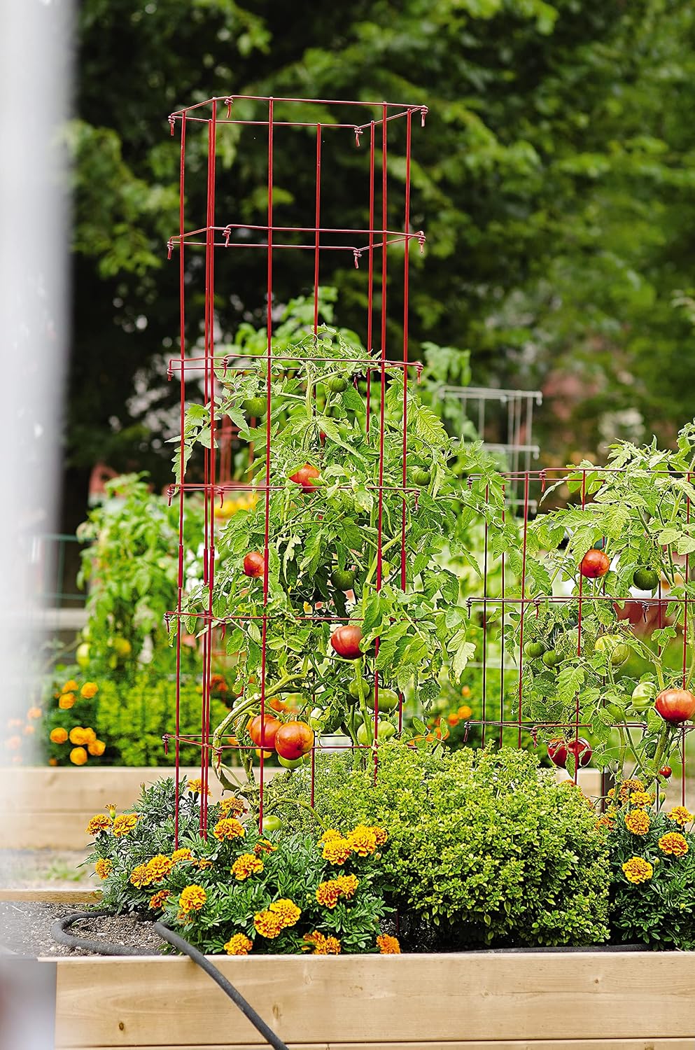 Gardener's Supply Company Lifetime Tomato Cages, Green, Set of 4