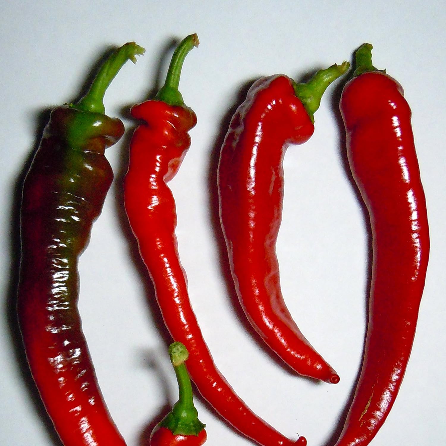 Jimmy Nardello's Heirloom Sweet Pepper Seeds