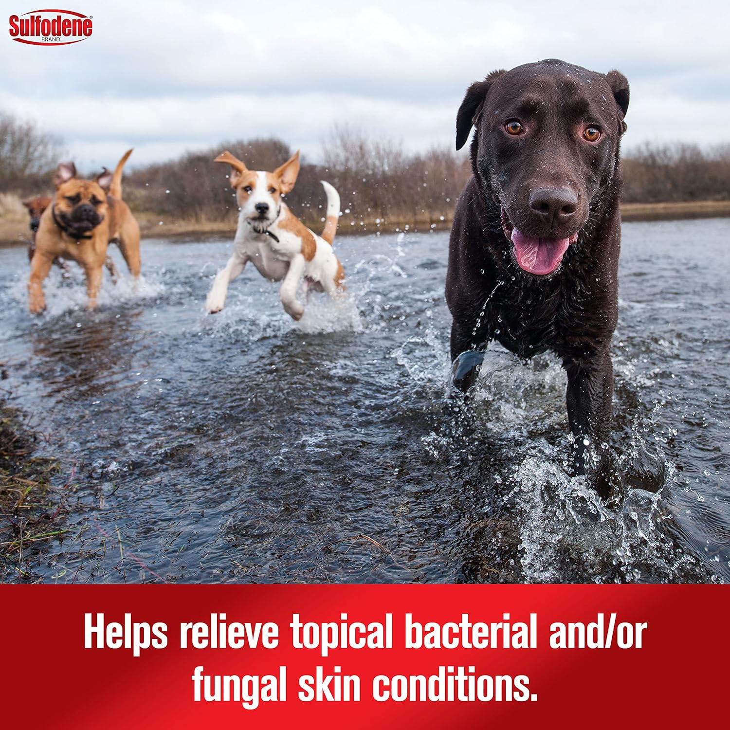 Sulfodene Wound Care 3-Way Ointment for Dogs & Puppies, Soothes Cuts, Scrapes, Skin Irritation, and Redness