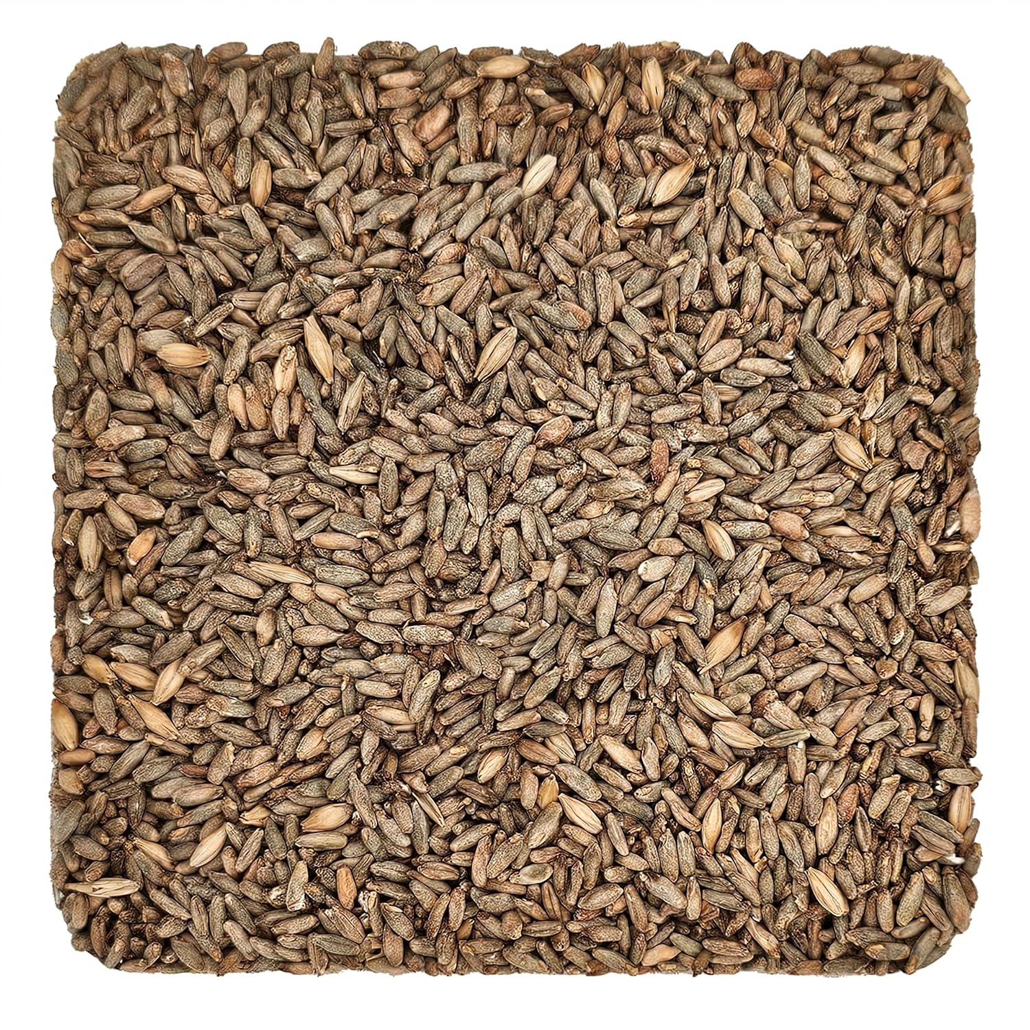 Briess-BM-5332 Rye Malt (5 lb) - Brown