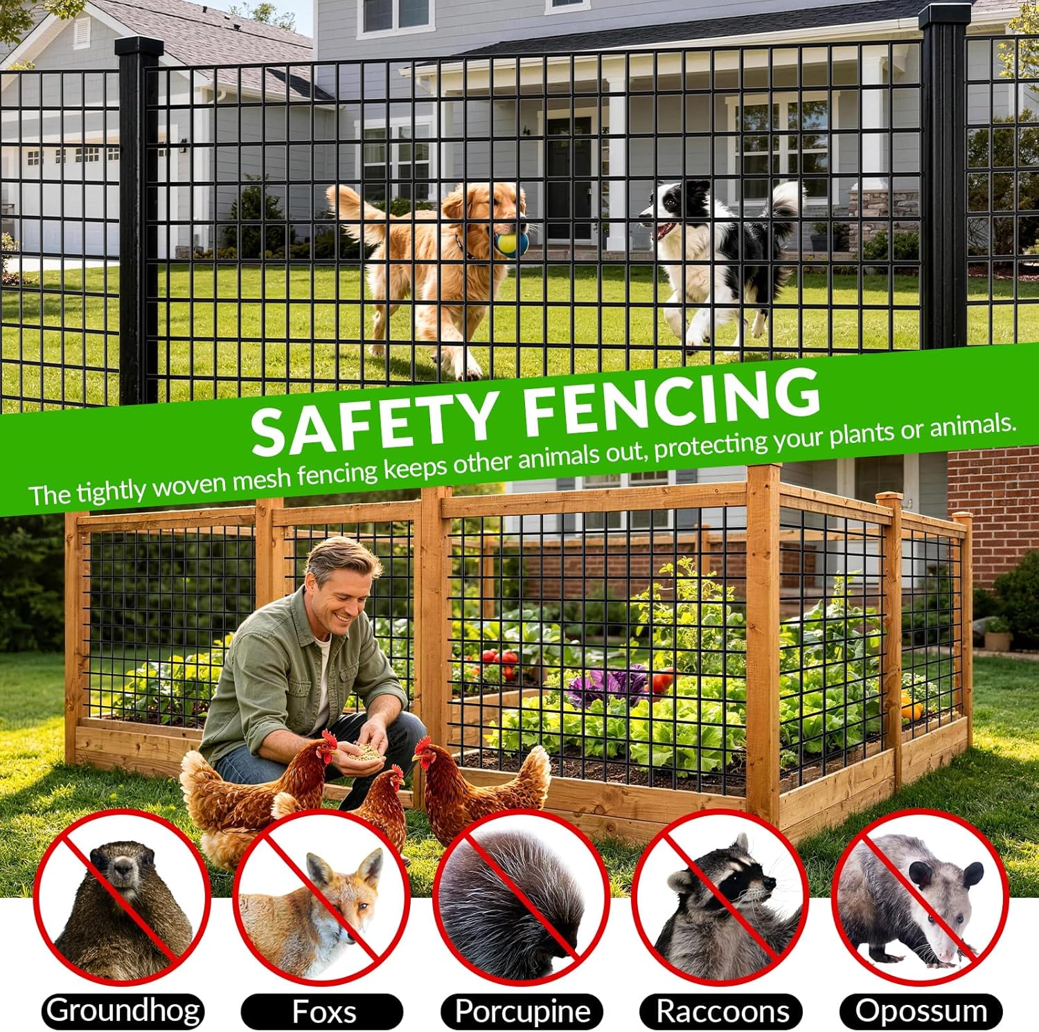 24'' x 50' 1inch Hardware Cloth 16 Gauge Black Vinyl Coated Welded Fence Mesh for Home and Garden Fence and Home Improvement Project (24'' x 50')
