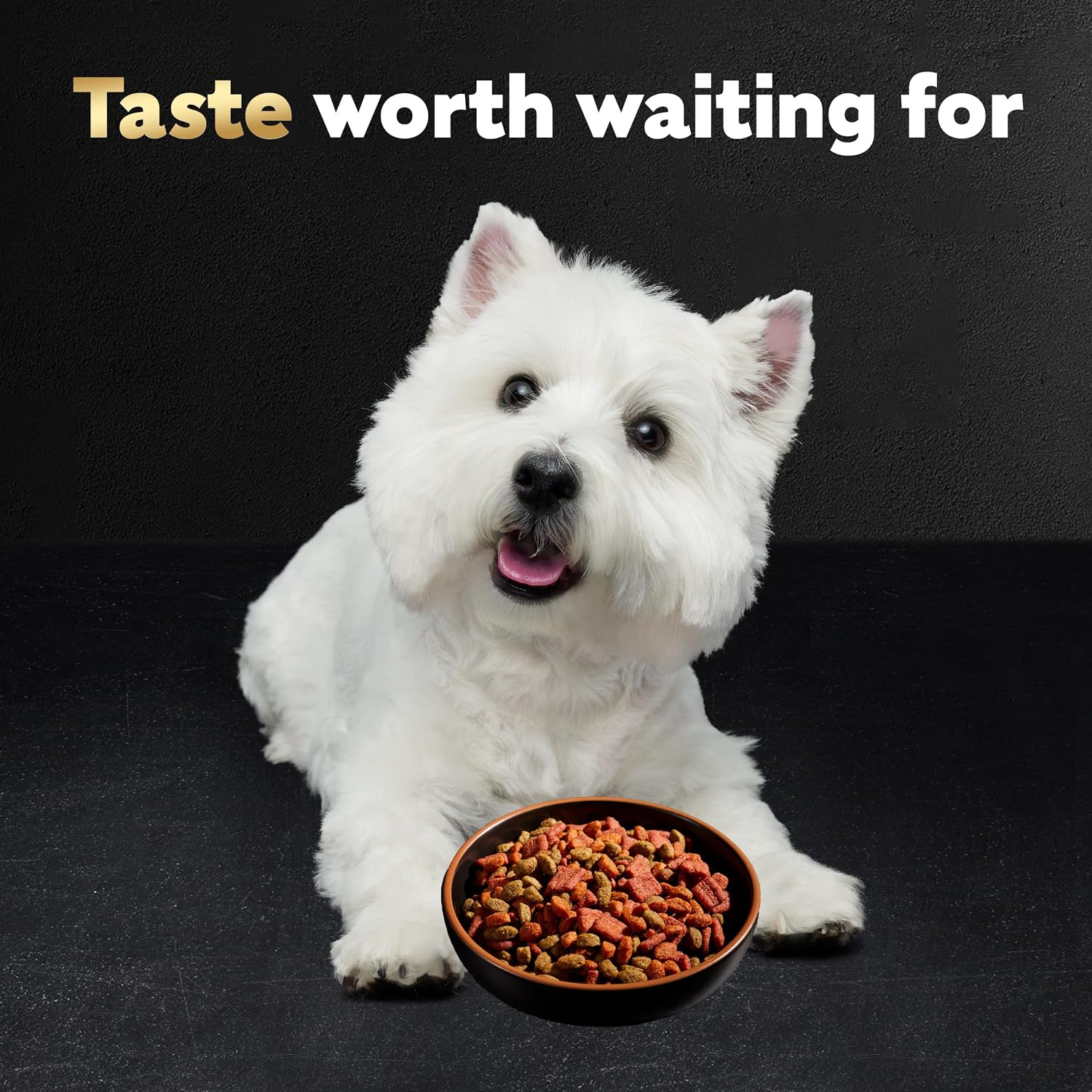 Cesar Small Breed Dry Dog Food, Chicken & Spring Vegetables Flavor, 5 lb | Made in USA, Real chicken #1 ingredient, 26 essential nutrients, supports small breed health, no artificial flavors