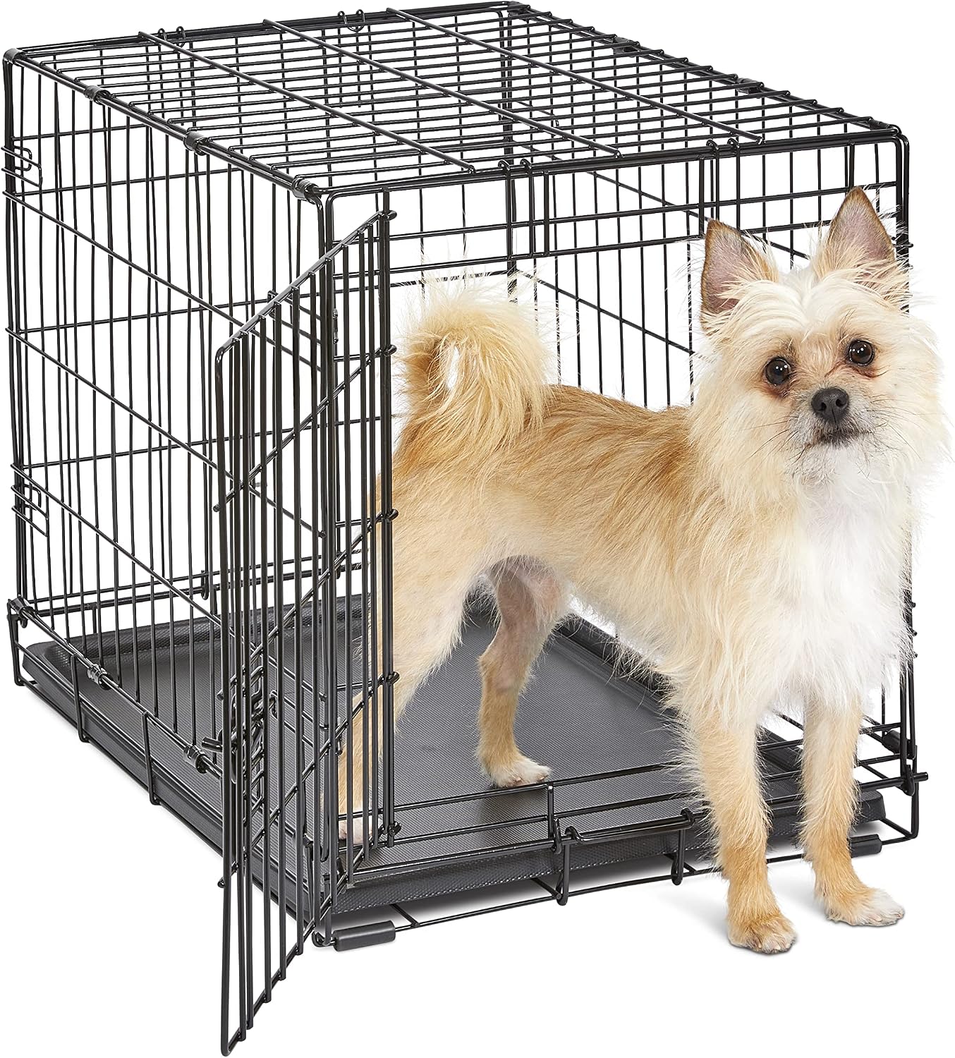 Midwest Homes for Pets 24-Inch New World Crate for Small Breeds, 12-20 lbs, Double Door Folding Dog Crate, Leak-Proof Tray & Secure Latches, Portable, Durable & Easy to Assemble