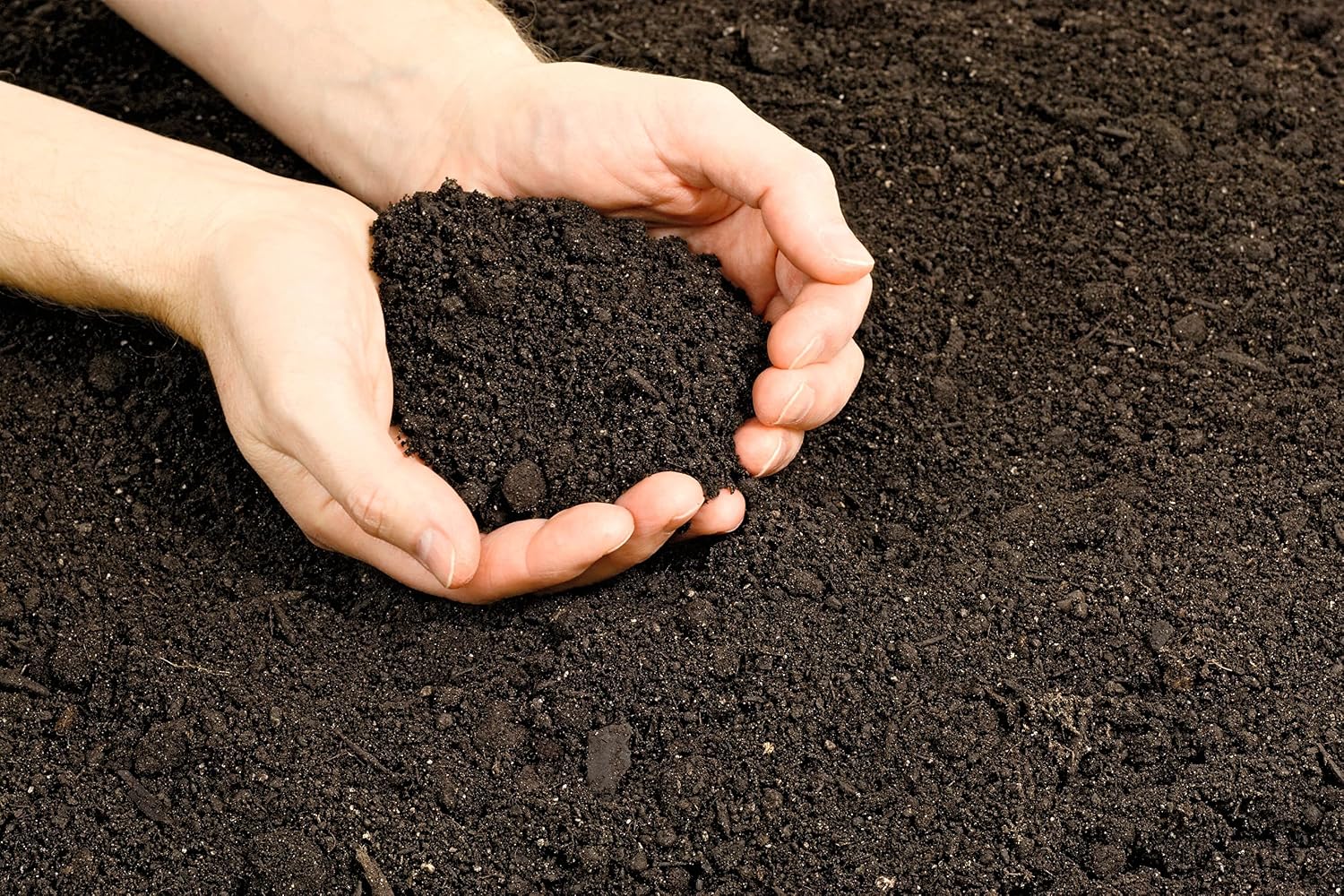 Vermont Compost Company Fort Vee Organic Potting Mix | High-Nutrient Compost-Based Soil for Indoor & Outdoor Container Seed Starting