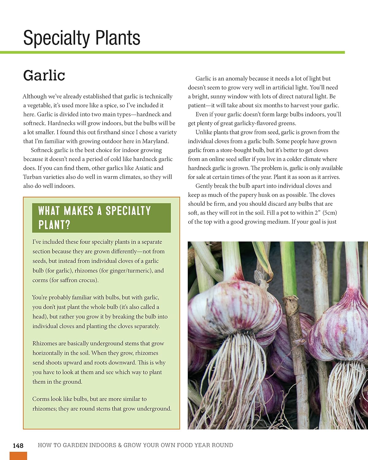 How to Garden Indoors & Grow Your Own Food Year-Round: Ultimate Guide to Vertical, Container, and Hydroponic Gardening (Creative Homeowner) Vegetables