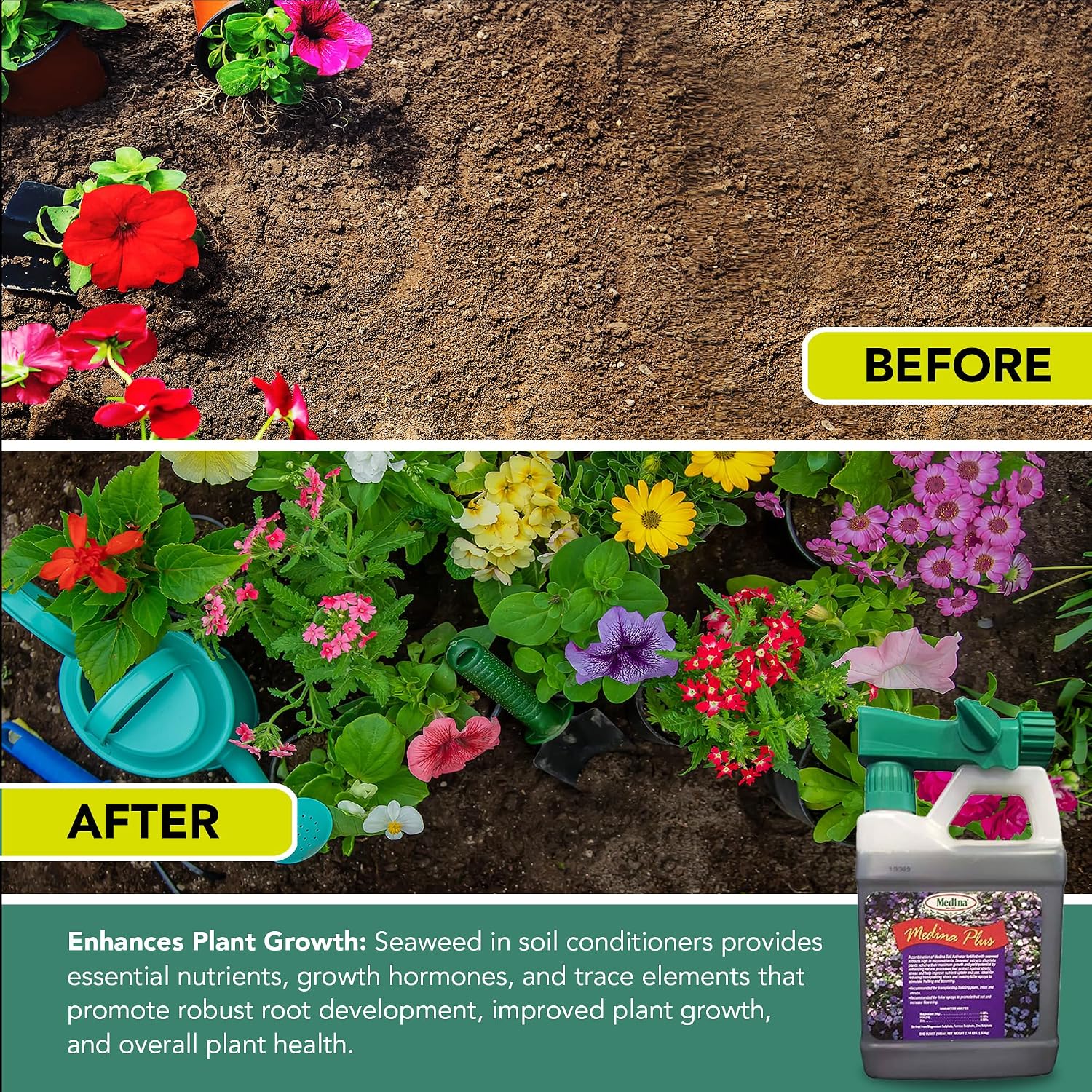 Medina Plus Soil Activator - Liquid Soil Loosener for Lawns & Gardens - Micronutrient-Rich Soil Conditioner & Softener - Used with House Plant Fertilizer, Liquid Plant Food for Houseplants - 1 End Qt