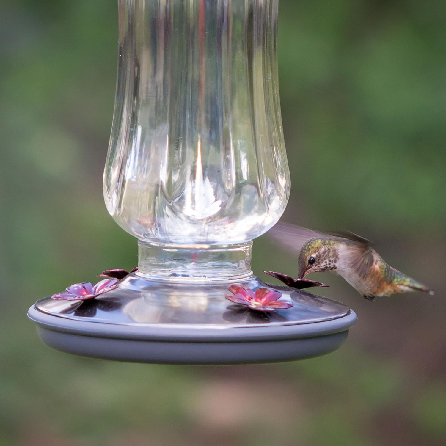 Perky Pet 8133-2 Daisy Vase Vintage Glass Hummingbird Feeder
