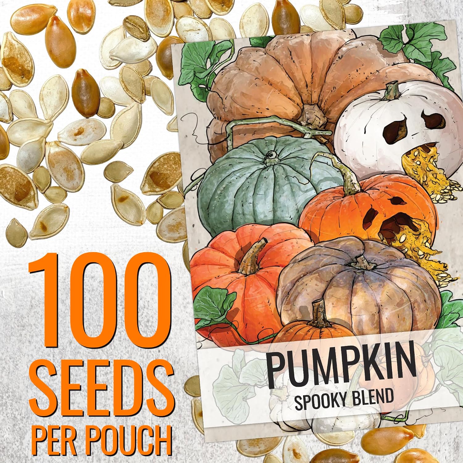 Seed Needs Pumpkin Seeds to Plant 100 Seeds Spooky Mix Non GMO Bulk Pack