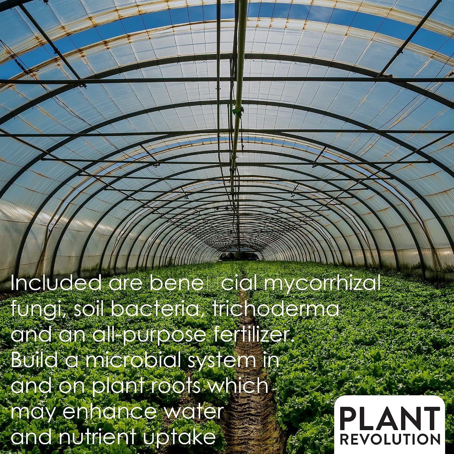 Mycorrhizal Fungi Plus Starter Fertilizer for Plants, Plant Success Organics, Root Stimulator, Treats 30 Plants