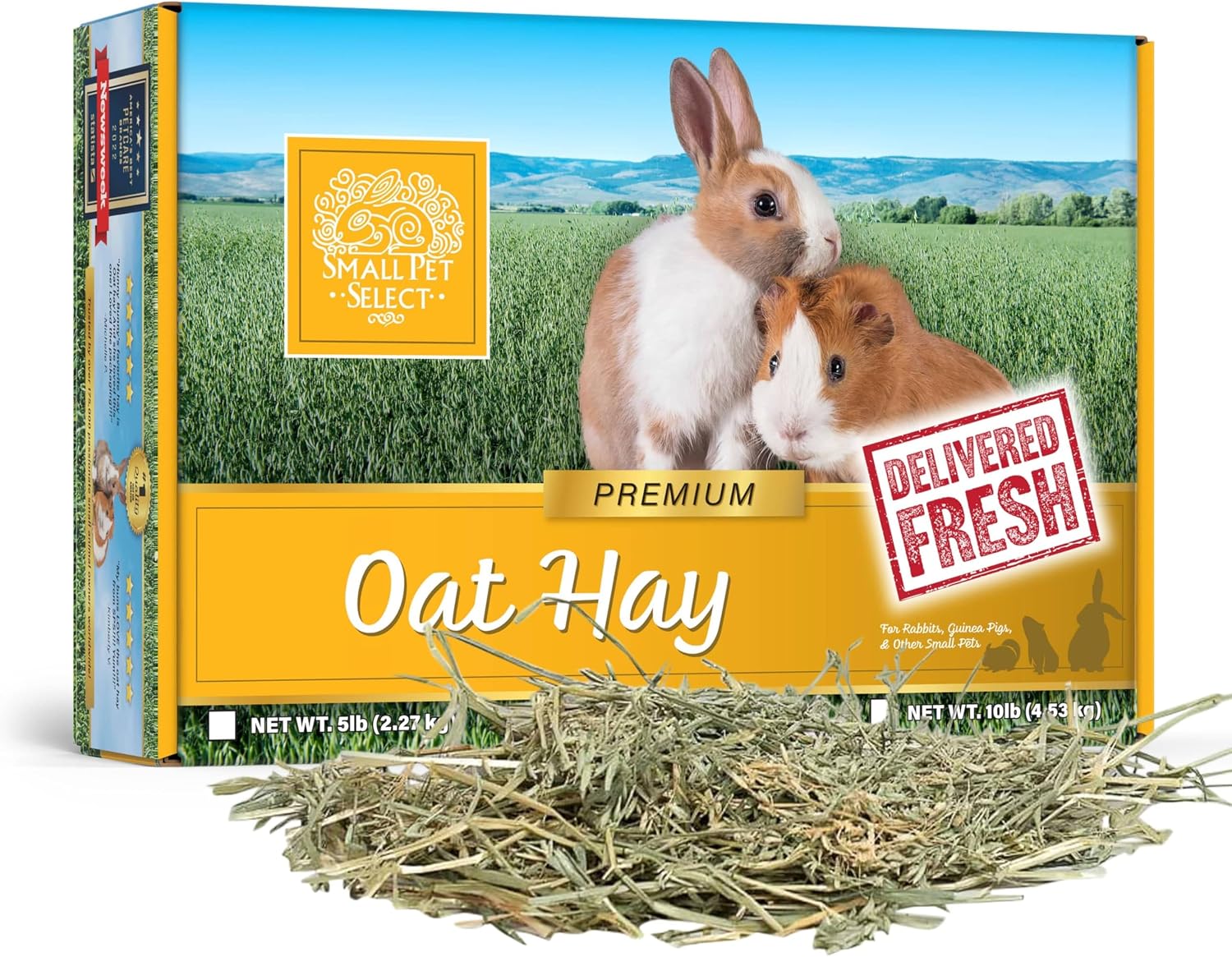 Small Pet Select Oat Hay for Rabbits, Guinea Pigs & Chinchillas, 10 lb | Natural Grass Hay with Seed Heads, High Fiber Forage, For Bunnies, Hamsters, Chinchillas & Other Small Pets