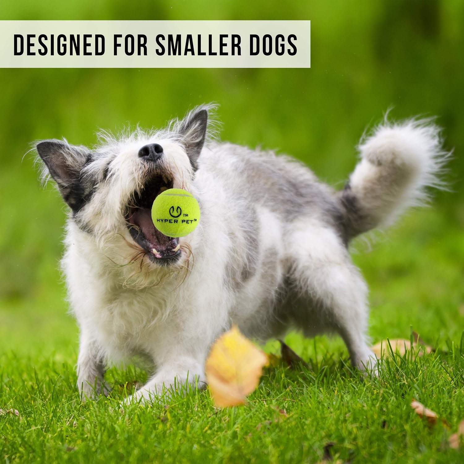 Hyper Pet GoDogGo Fetch Machine Dog Ball Launcher & Automatic Ball Launcher for Dogs With Five 2.5" Balls for Dogs 20-60 Pounds