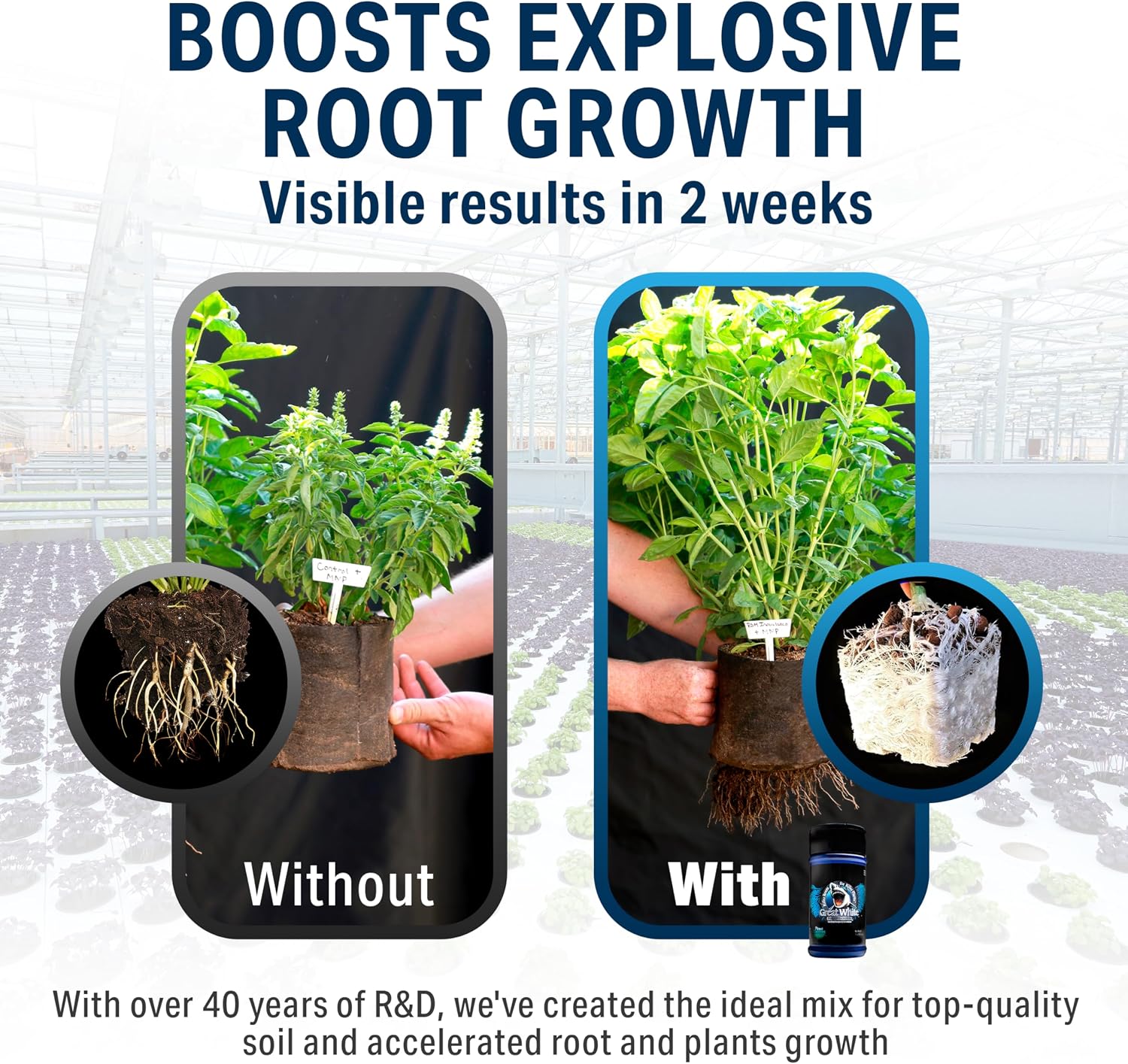 Great White Mycorrhizal Fungi 1 oz, Beneficial Bacteria for Plant Growth, Root Stimulator, Concentrated 3-in-1 Formula by Plant Success (1 oz)