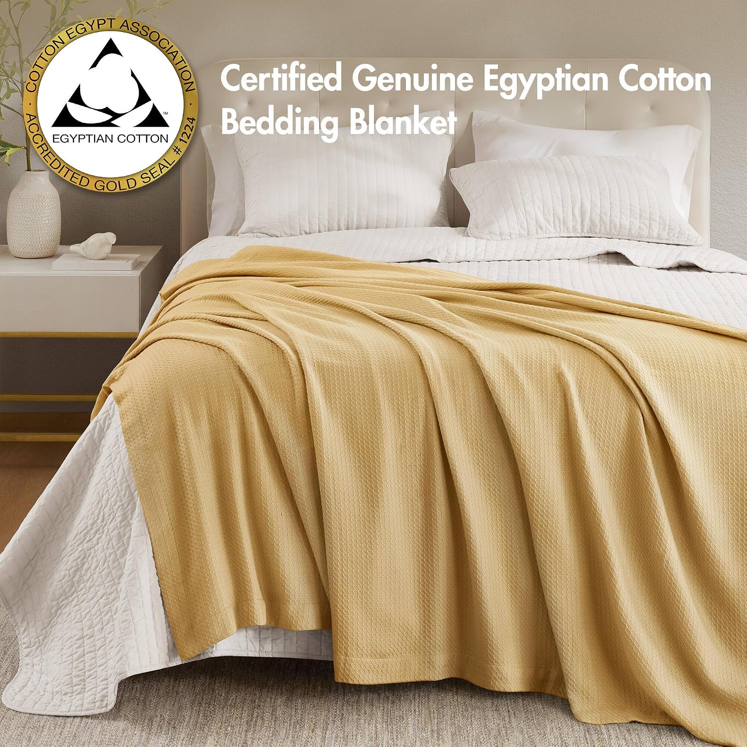 Madison Park 100% Egyptian Cotton Summer Blanket Full Queen Size Teal