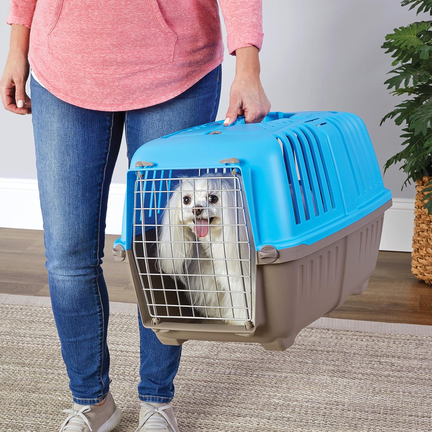 Spree by MidWest 19-Inch Travel Carrier, Blue, Fits Pets up to 10 lbs | Hard-Sided Pet Carrier, Steel Door, Ventilated Design, Locking Tabs, Easy Assembly