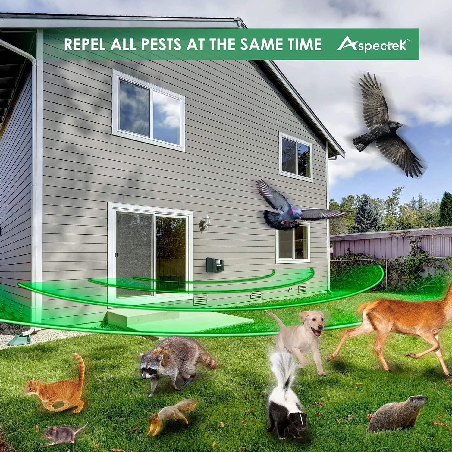 ASPECTEK Yard Sentinel Ultrasonic Animal Repeller with Strobe Light, 3 Mode Protection, Motion Sensor, Deterrent for Deer, Raccoons, Squirrels and Opossums AC and Battery Powered - 1 Pack