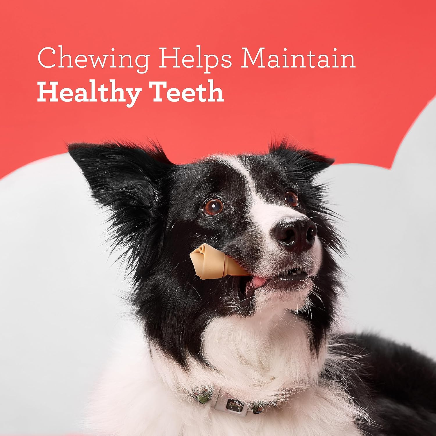 DreamBone Small Bone Rawhide-Free Dog Treats With Real Protein, 10 Count | Daily Chew, Digests Safely and Completely, Made With Real Chicken and Veggies, For Adult Dogs