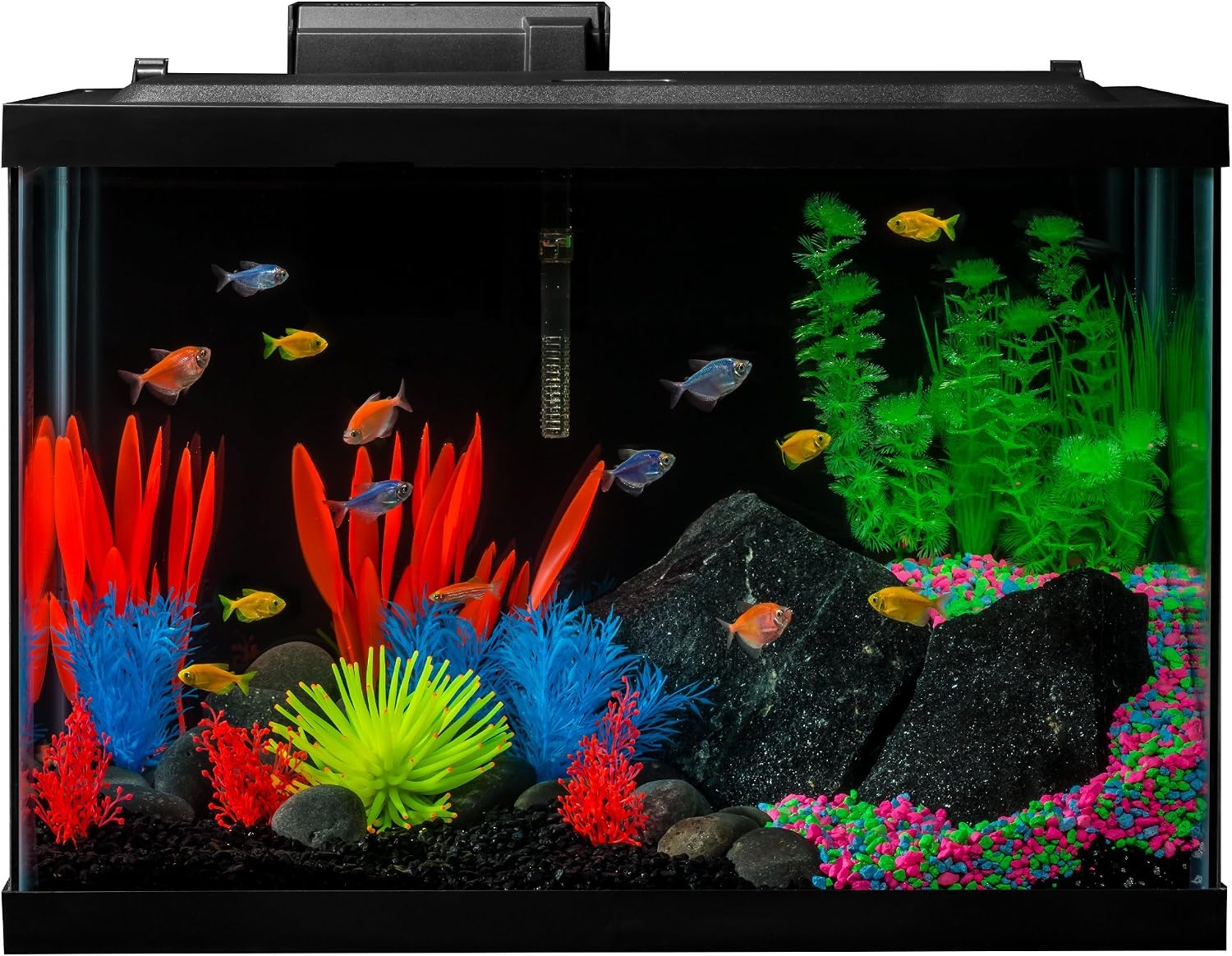 GloFish Crescent aquarium Kit 3 Gallons, Includes Hidden Blue LED Light And Internal Filter