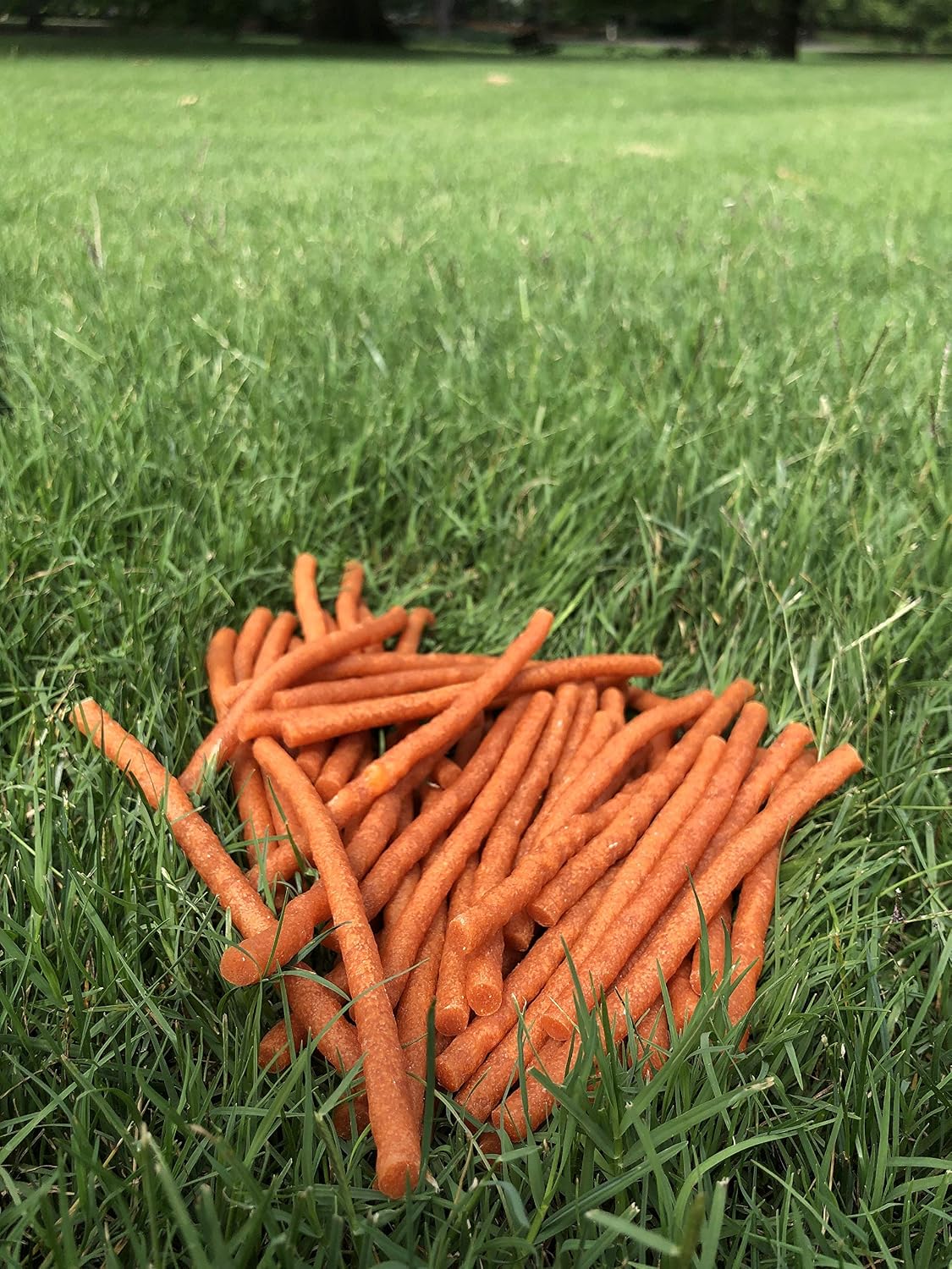 Rena's Recipe Twiggly Chicken Sticks Dog Treats, 24 oz, Approx. 100 Pieces | Rawhide-Free Soft Chicken Jerky Sticks with Glucosamine