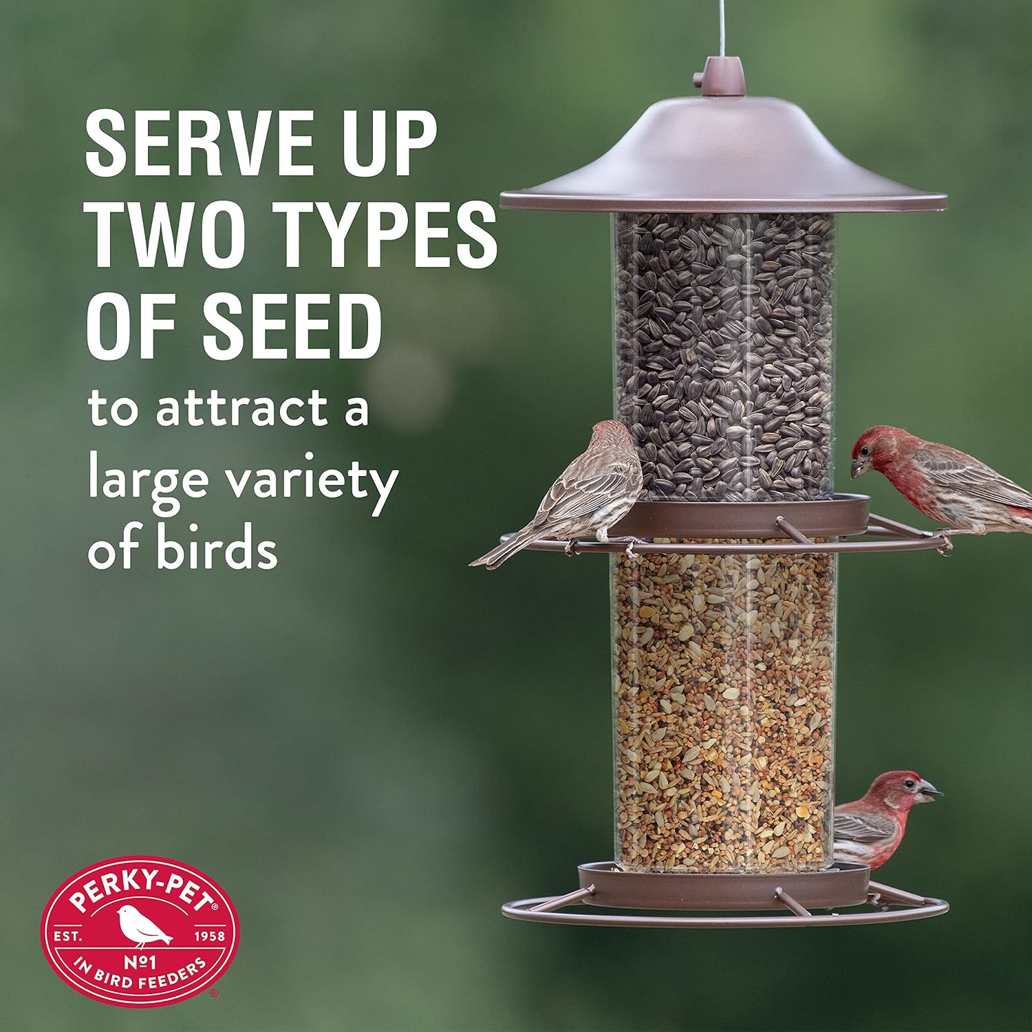 Perky-Pet Large 2-Tier Panorama Wild Bird Outdoor Feeder with Hanging Hook - 325SCOMBO-1SR - 4.5 lb Seed Capacity - Durable Construction - Versatile