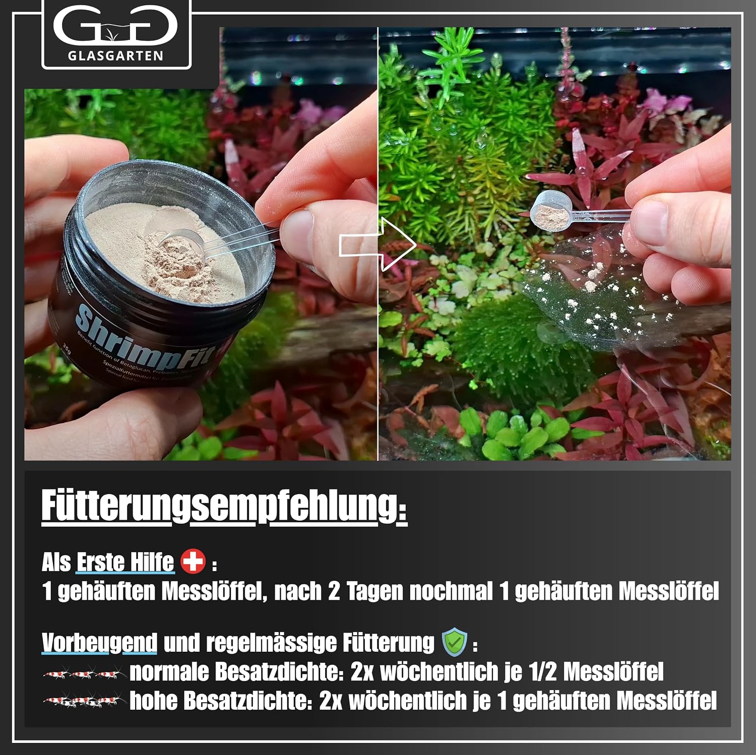GlasGarten Shrimp Fit