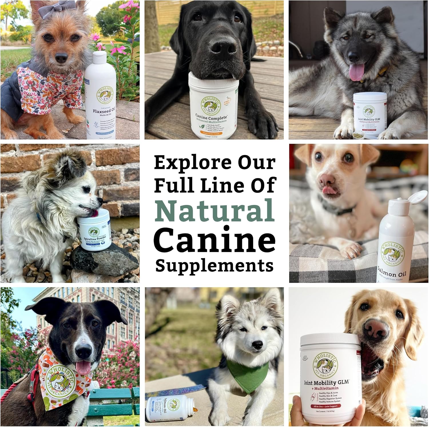 Organic Dog Vitamins | 1 Lb | 45 Scoops | Daily Dog Multivitamin with Prebiotics, Probiotics for Immune Support, Skin Coat, Digestion, & Joint Health | Canine Complete
