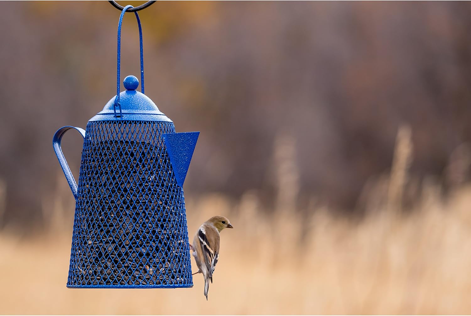 Perky-Pet Dual Mesh Wild Bird Seed Feeder - Holds up to 2.85 lb Wild Bird Seed - Dual Compartment for Seeds and Thistle - TSS00349