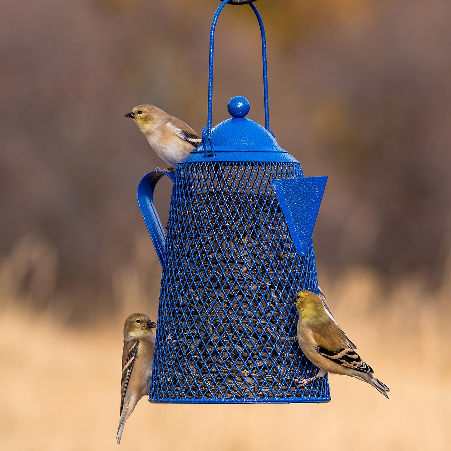 Perky-Pet Dual Mesh Wild Bird Seed Feeder - Holds up to 2.85 lb Wild Bird Seed - Dual Compartment for Seeds and Thistle - TSS00349