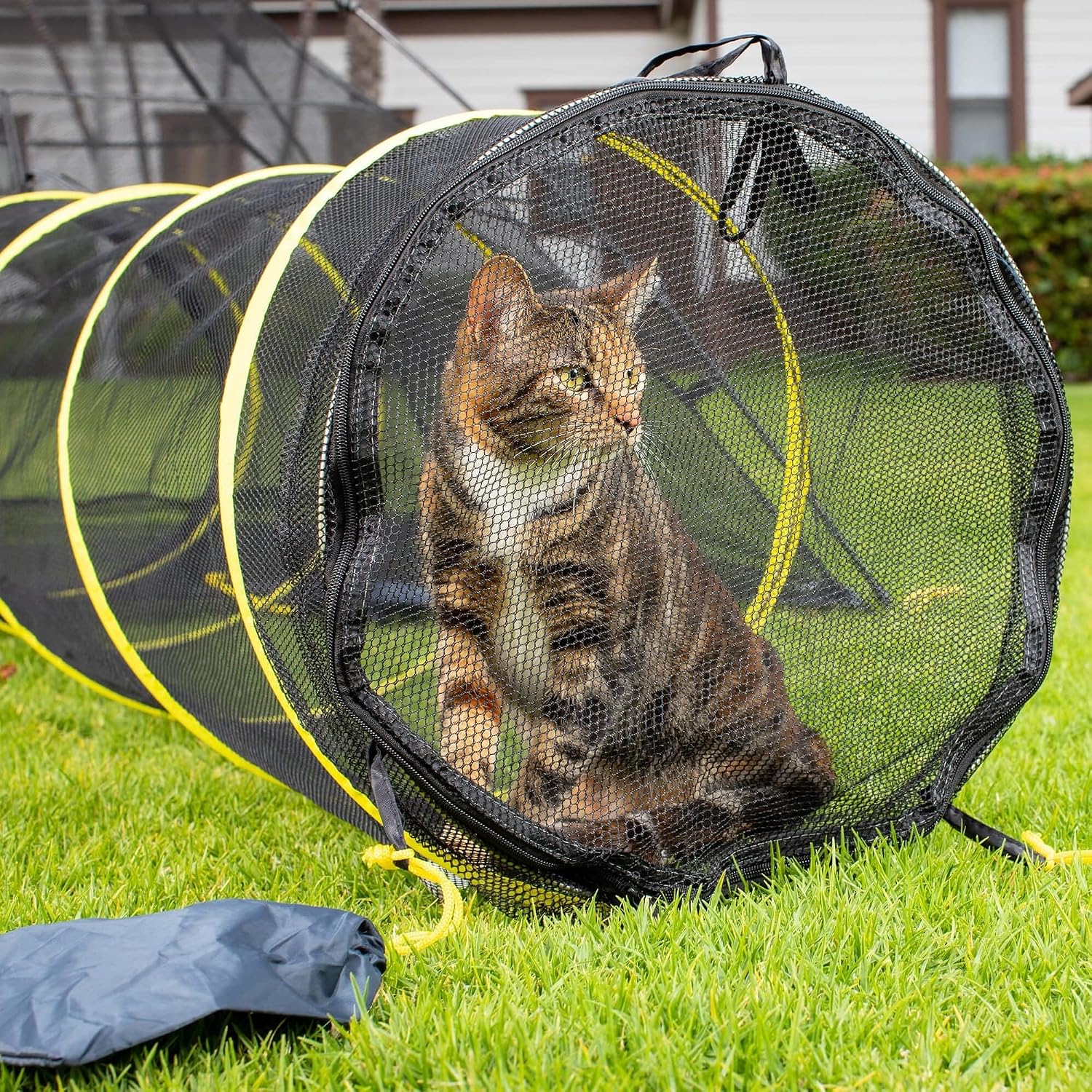 Kitty Compound Outdoor Cat Enclosure and Tunnel, Play Tents | Portable playhouse setup letting indoor felines enjoy fresh air outside while staying contained, safe and secure at all times