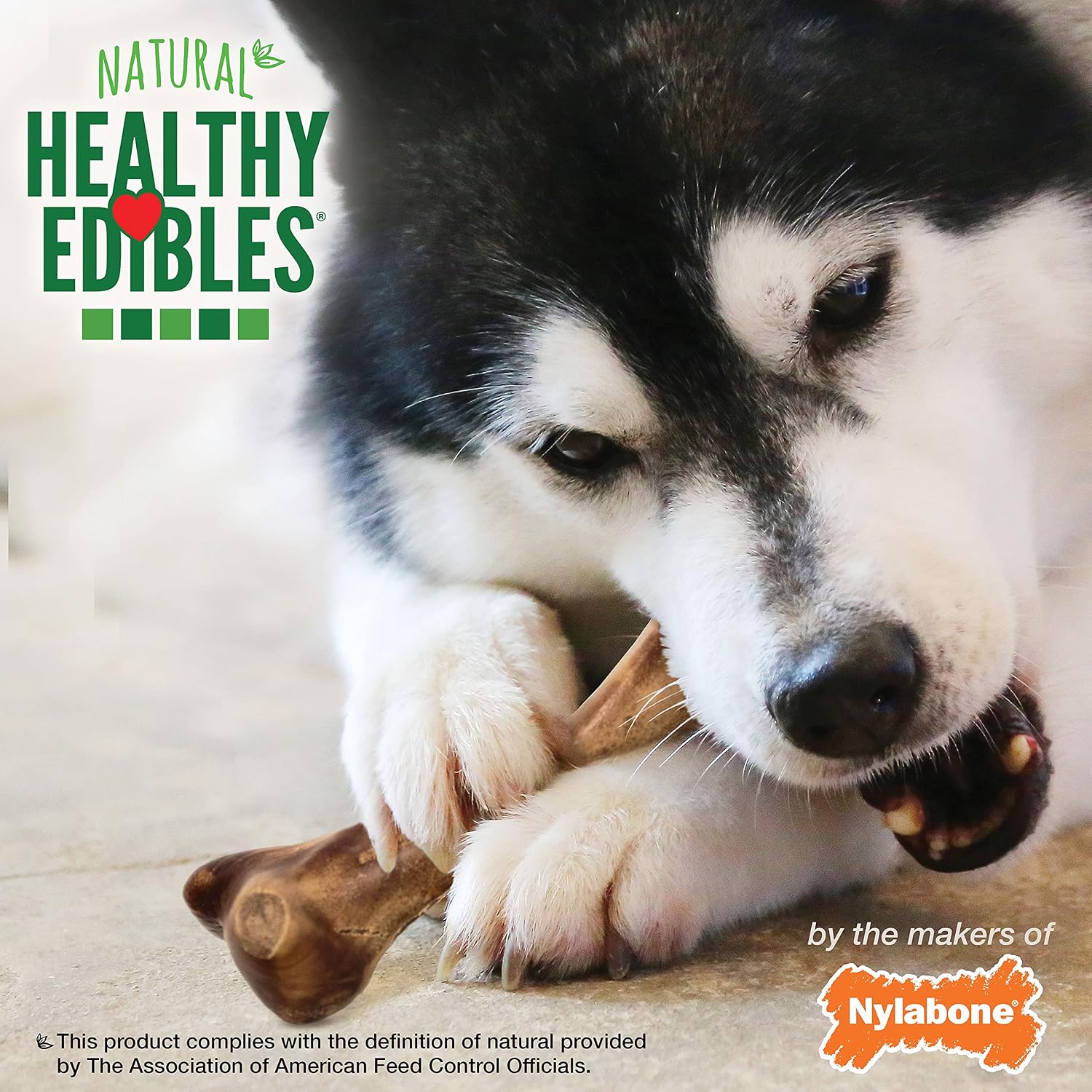 Nylabone Healthy Edibles Wild Dog Treats, Venison Flavor, Large | Natural dog chew bones, made in USA, highly digestible dog chews, long lasting chews for large dogs up to 50 lbs