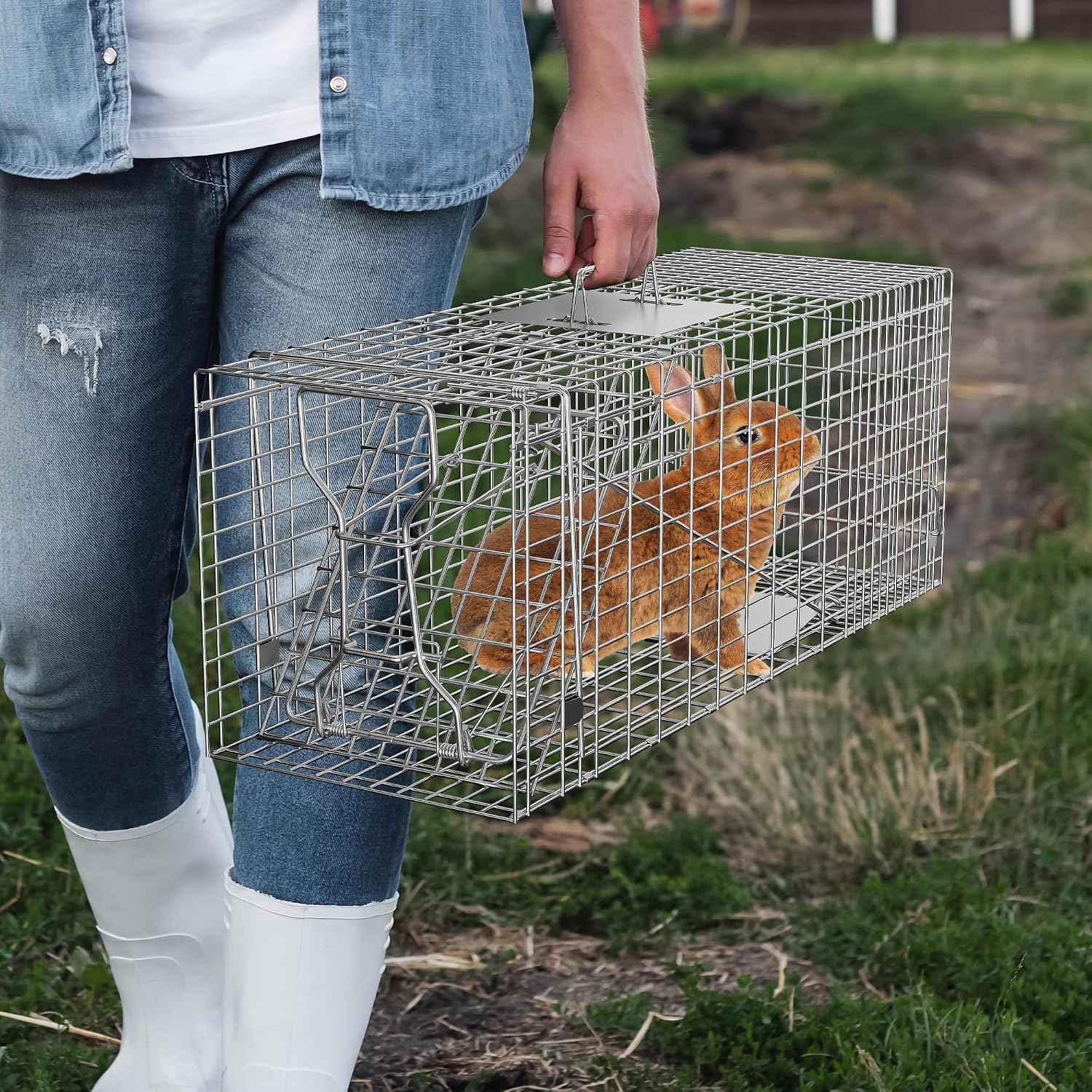 24" x 7.5" x 8" Small Live Animal Trap Steel Cage Catch and Release One Door Humane Rodent Cage Trap for Little Rabbits/Stray Cats/Squirrel/Skunk/Mink/Opossum Outdoor Animals