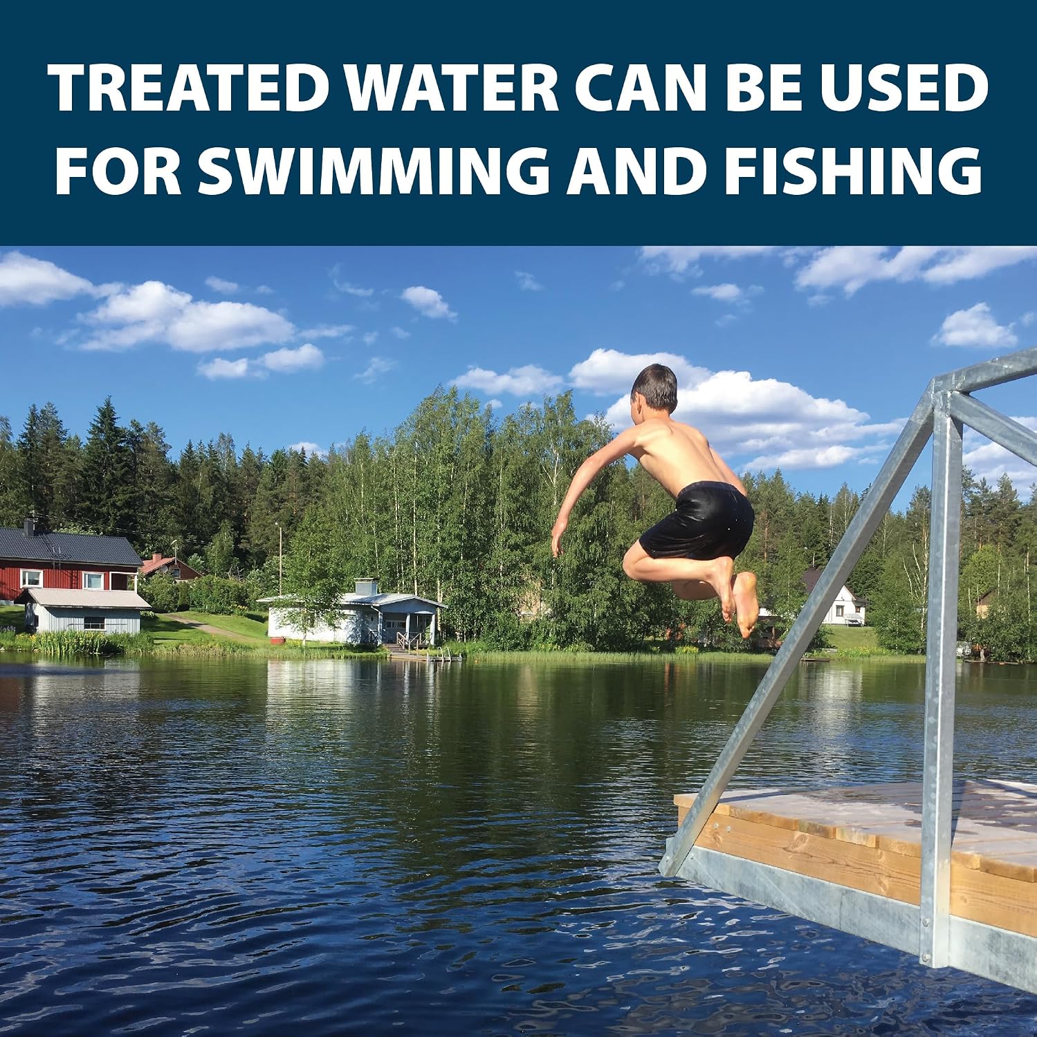Airmax Pond Dye Plus, Nature's Blue Pond & Lake Water Colorant, 1 Gallon | Natural beneficial bacteria clarifier shades plants and algae from sunlight; fish and livestock safe