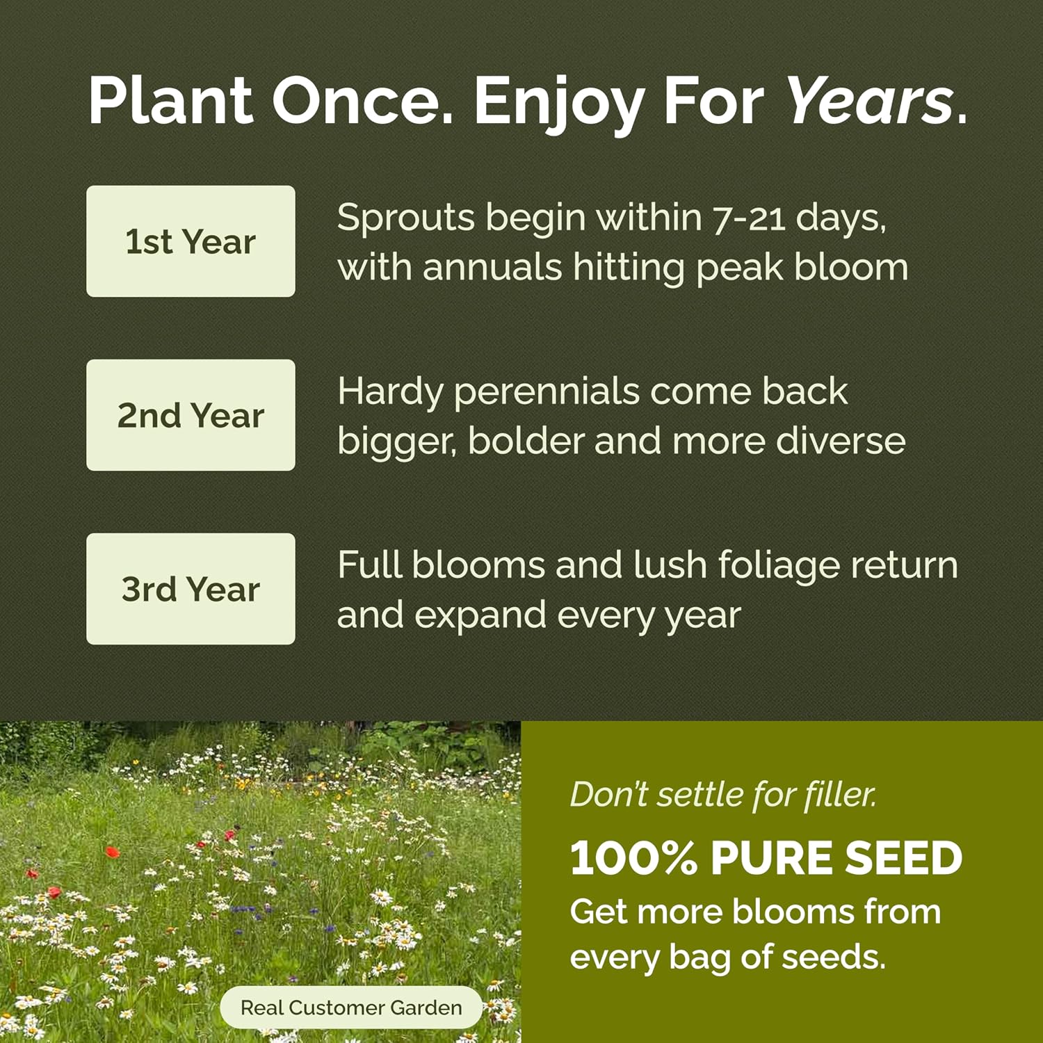 Eden Brothers All Perennial Wildflower Mixed Seeds for Planting, 1 lb, 480,000+ Seeds with Lupine, Shasta Daisy | Attracts Pollinators, Plant in Spring or Fall, Zones 3, 4, 5, 6, 7, 8, 9, 10