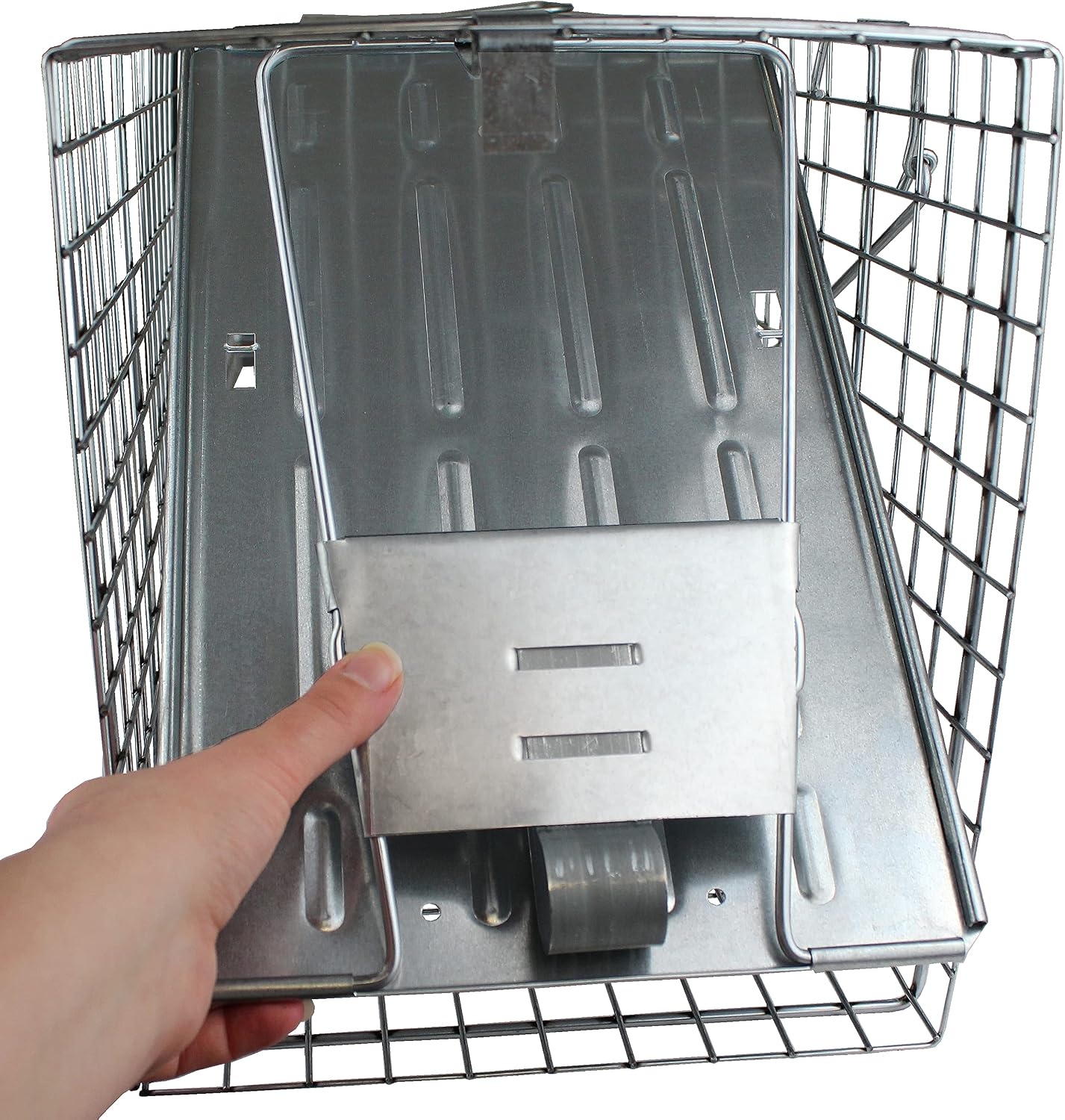 Havahart Large 1-Door Live Animal Trap for Raccoons, Cats, Bobcats, Beavers | Heavy Duty Humane Catch and Release Cage Trap for Outdoor Pest Control