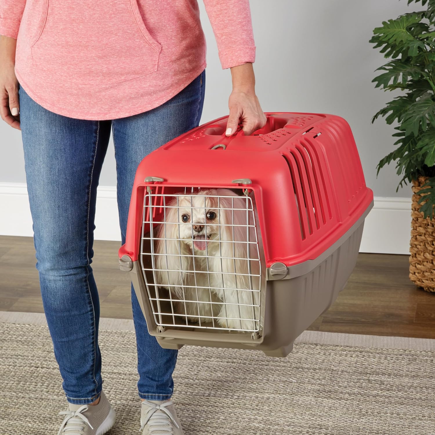 Spree by MidWest 19-Inch Travel Carrier, Blue, Fits Pets up to 10 lbs | Hard-Sided Pet Carrier, Steel Door, Ventilated Design, Locking Tabs, Easy Assembly