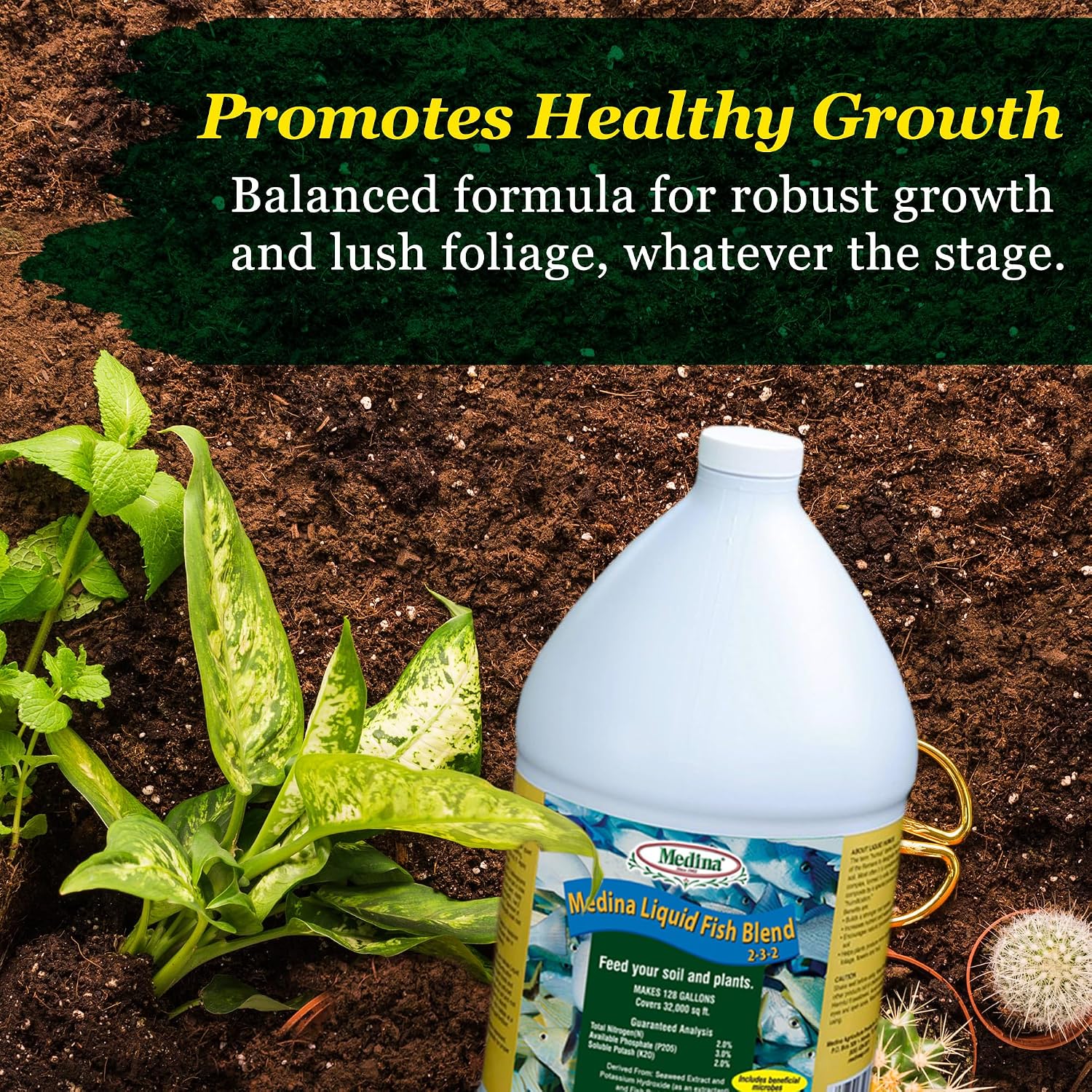 Medina Liquid Fish Blend Fertilizer 2-3-2, 1 Gallon | Gro, Bloom, and Lush Gardens, Seaweed Enriched Plant Food, Vibrant Growth and Blooms, Available