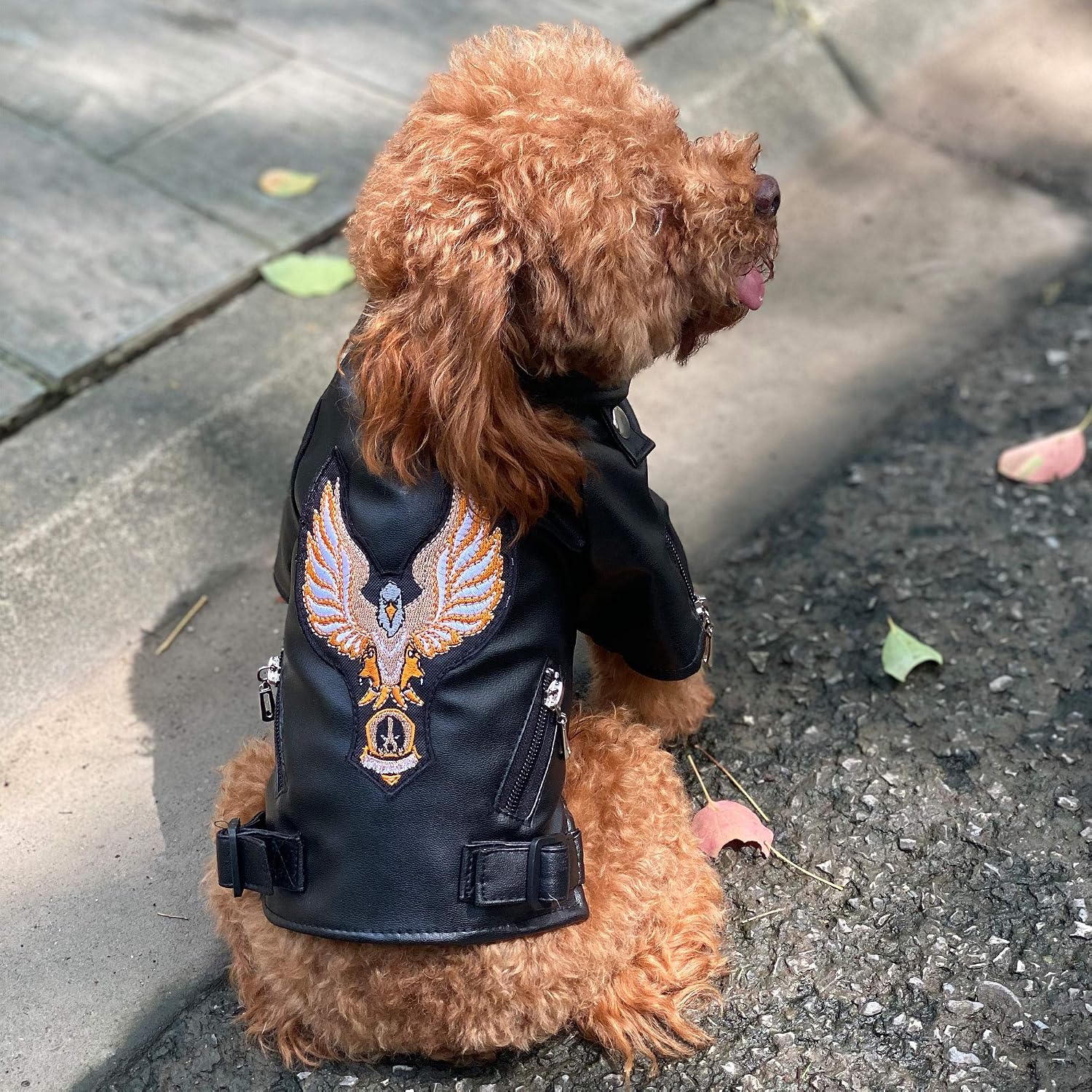 Lovelonglong Cool Dog Leather Jacket, Warm Coats Dogs Windproof Cold Weather Coats for Large Medium Small Dogs with Eagle Embroidery Black XS