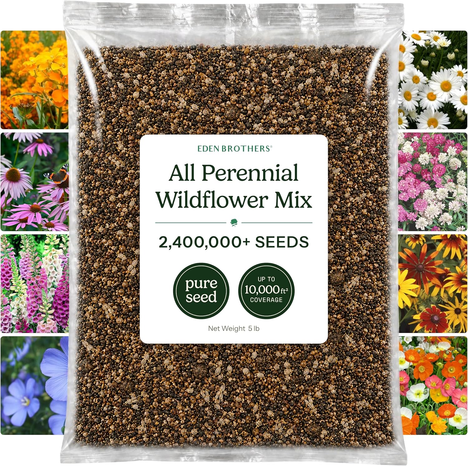 Eden Brothers All Perennial Wildflower Mixed Seeds for Planting, 1 lb, 480,000+ Seeds with Lupine, Shasta Daisy | Attracts Pollinators, Plant in Spring or Fall, Zones 3, 4, 5, 6, 7, 8, 9, 10