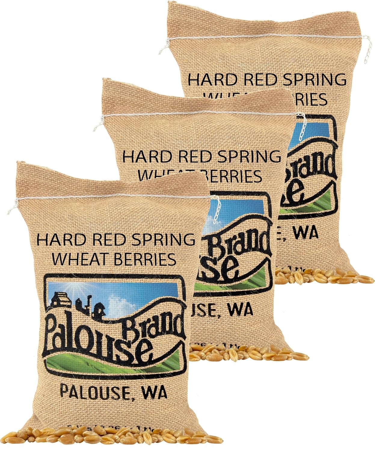 Palouse Brand Certified Glyphosate Residue Free Hard Red Spring Wheat Berries | 25 LBS Bag | Family Farmed in Washington State | Sproutable | Non-GMO Project Verified | Kosher