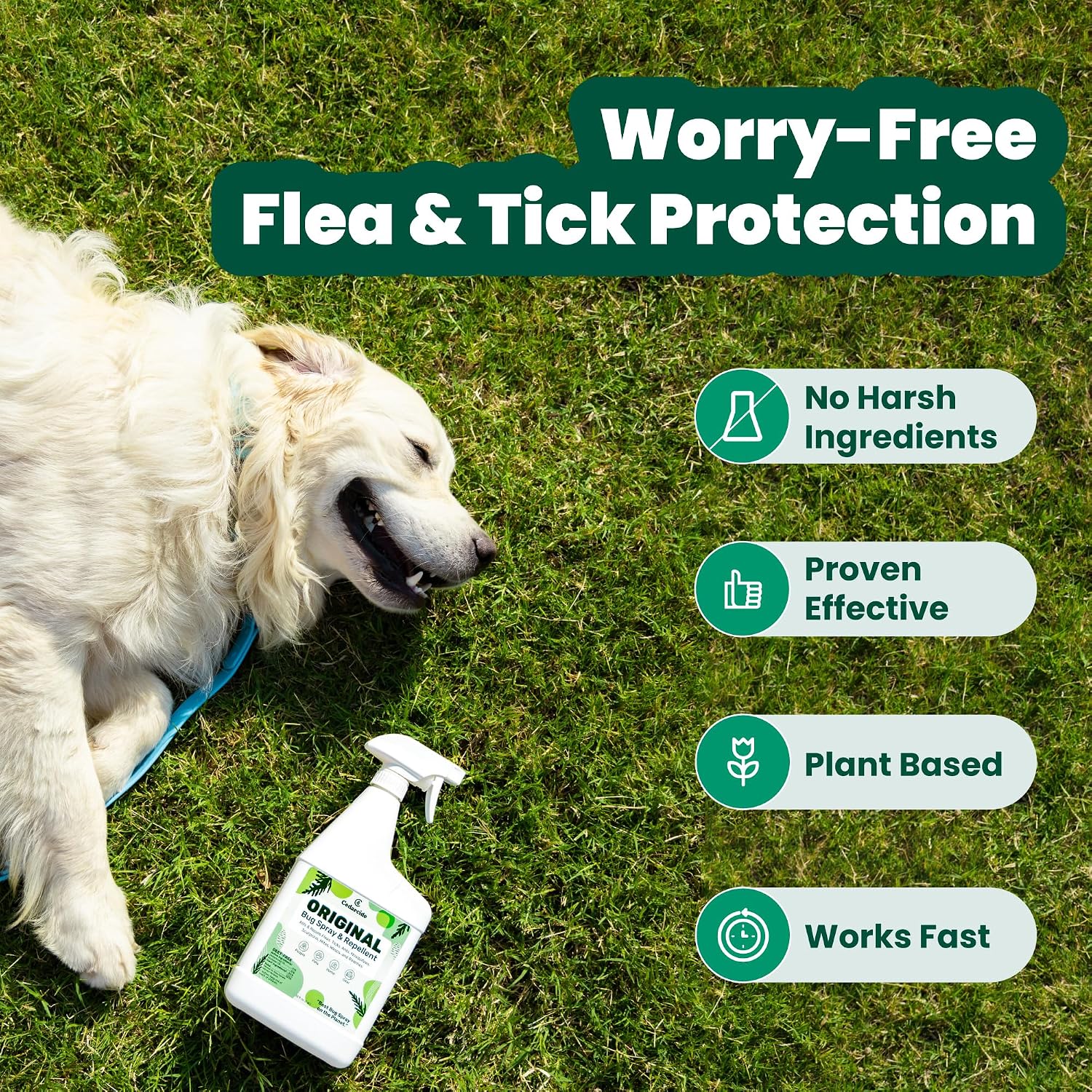 Cedarcide Original Bug Spray | Repel & Kill Fleas, Ticks, Mosquitoes, Mites, Ants & Chiggers | for use on People