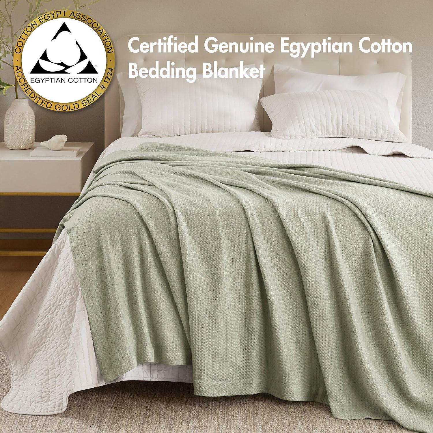 Madison Park 100% Egyptian Cotton Summer Blanket Full Queen Size Teal