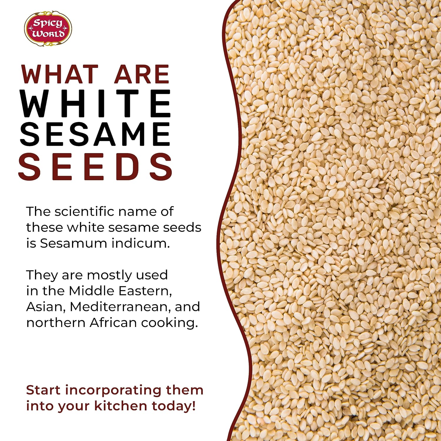 Spicy World White Sesame Seeds 3 LB Bag - Natural, Raw, Hulled, Non-GMO, Bulk Resealable Bag