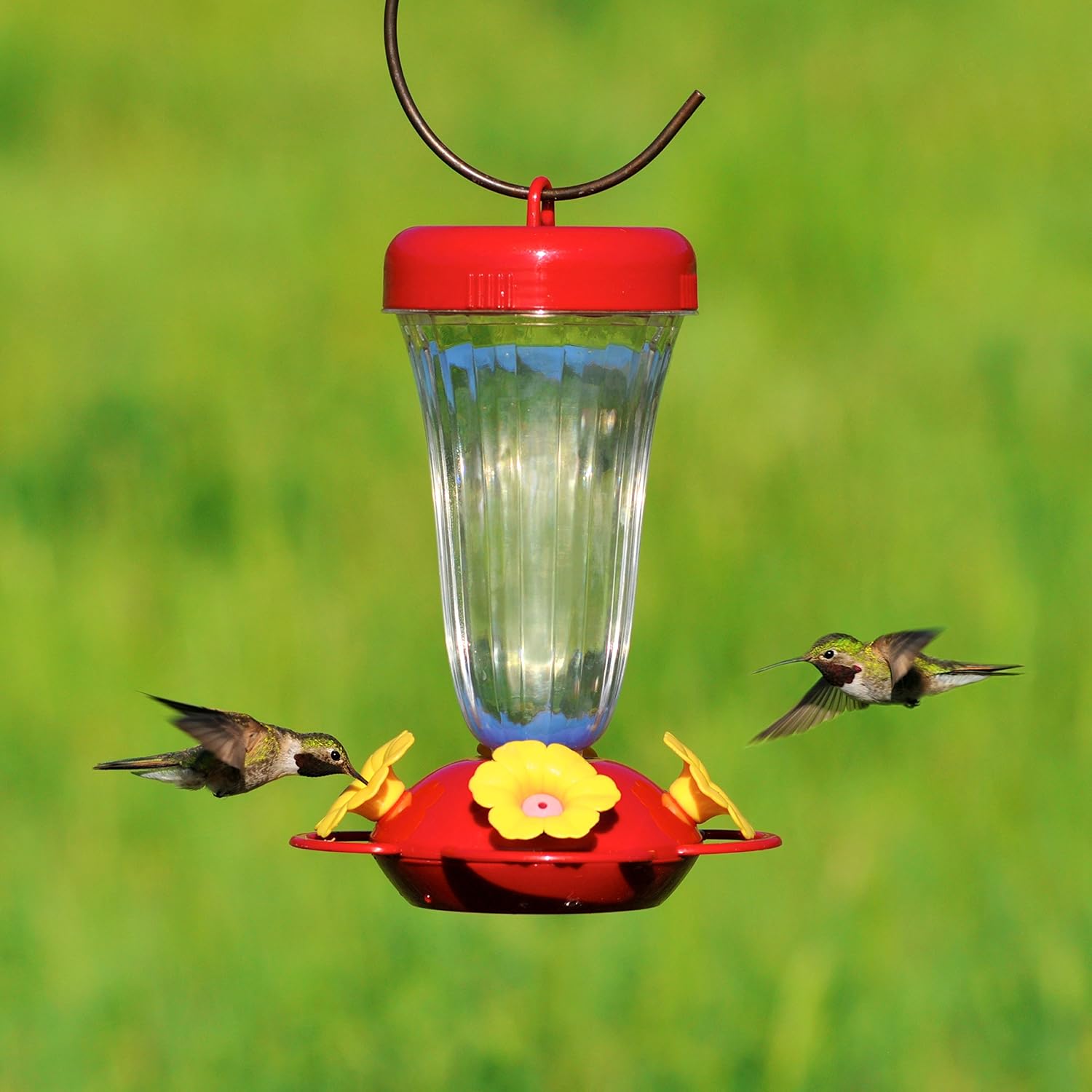 Perky-Pet 136TF “Perky’s Finest” Plastic Top Fill Hummingbird Feeder