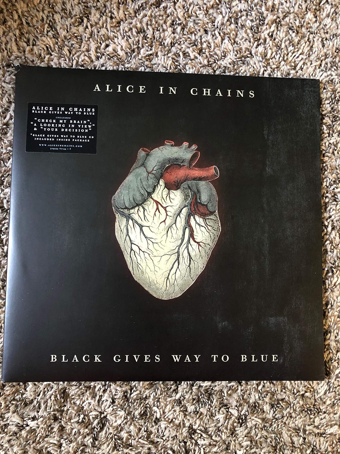 Black Gives Way To Blue
